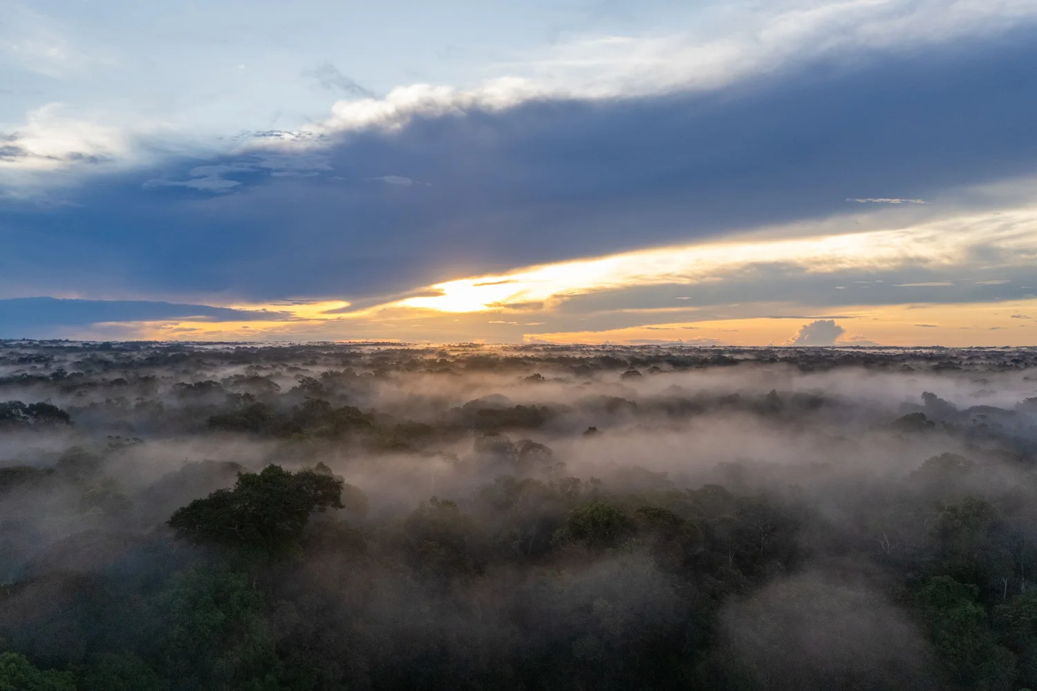 Aerial view of a river system