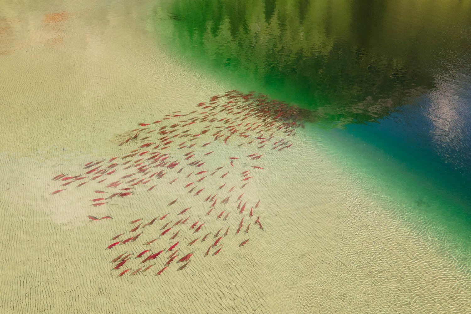 Aerial landscape
