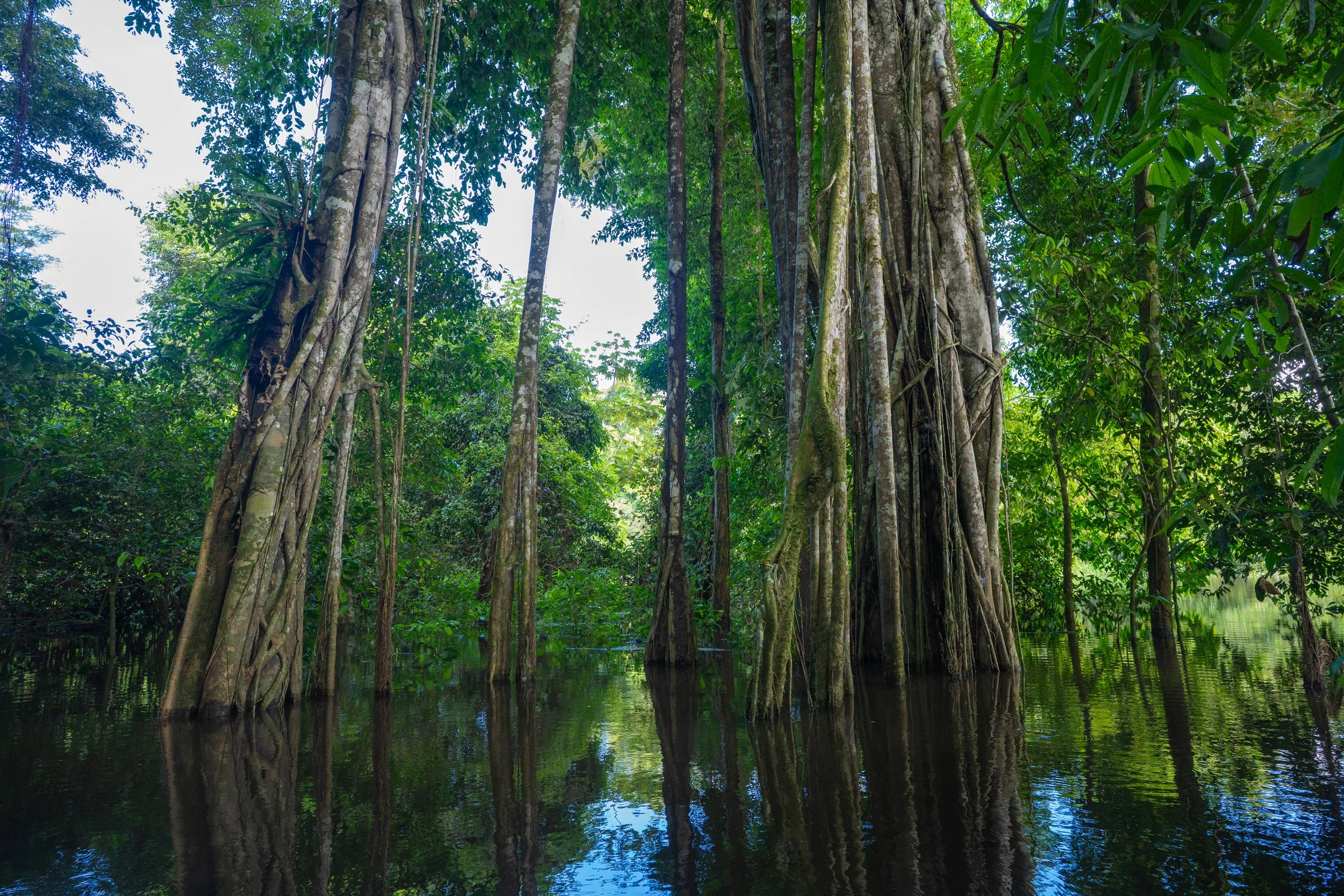 Remote river expedition documented by Fernando Lessa