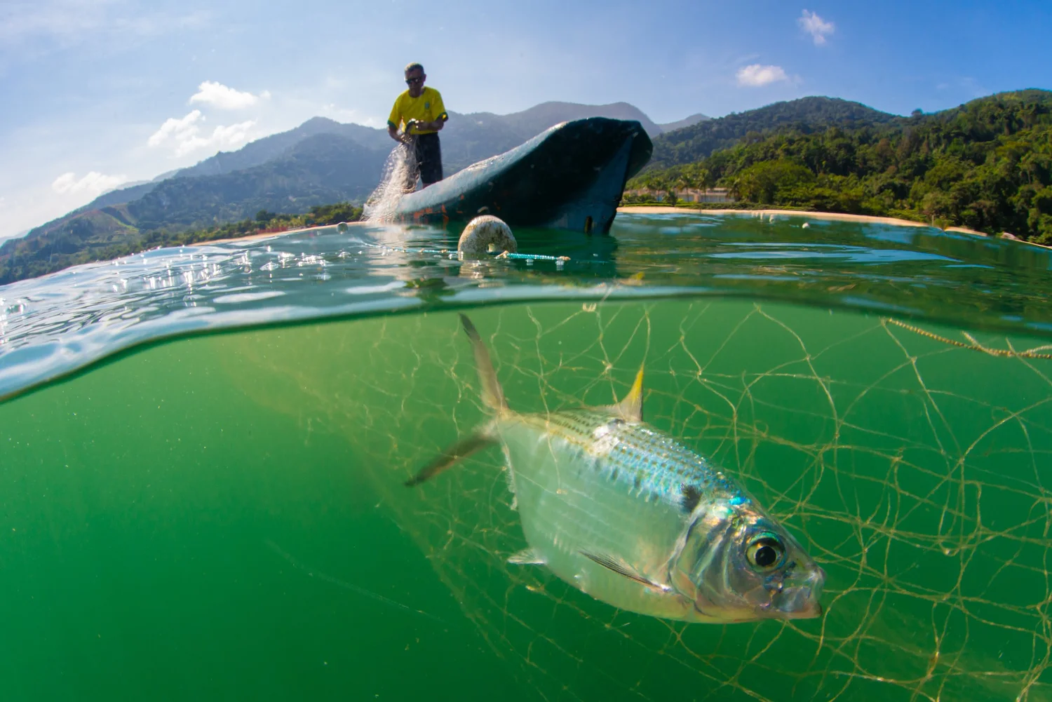 Scientific expedition