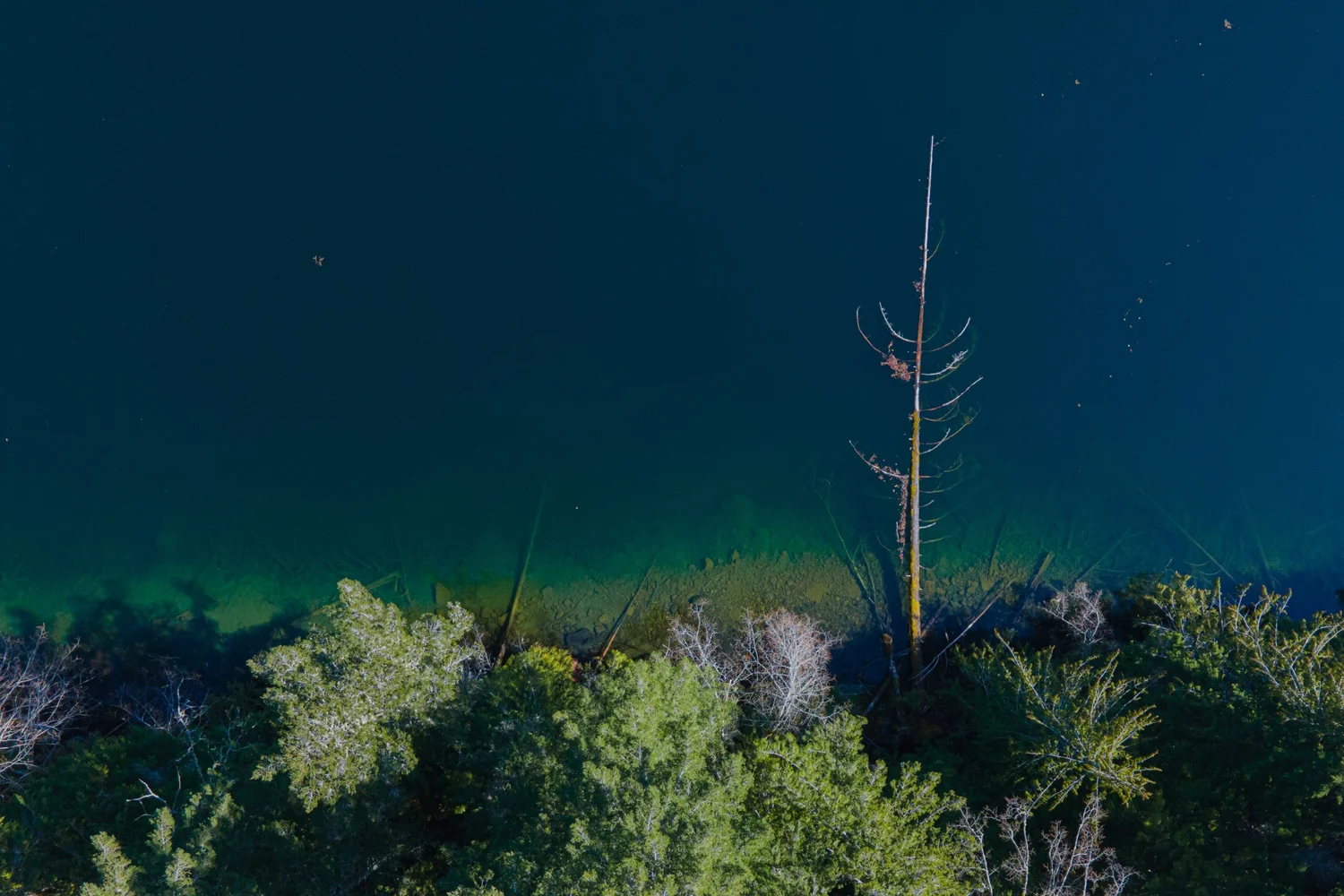 Aerial river photograph