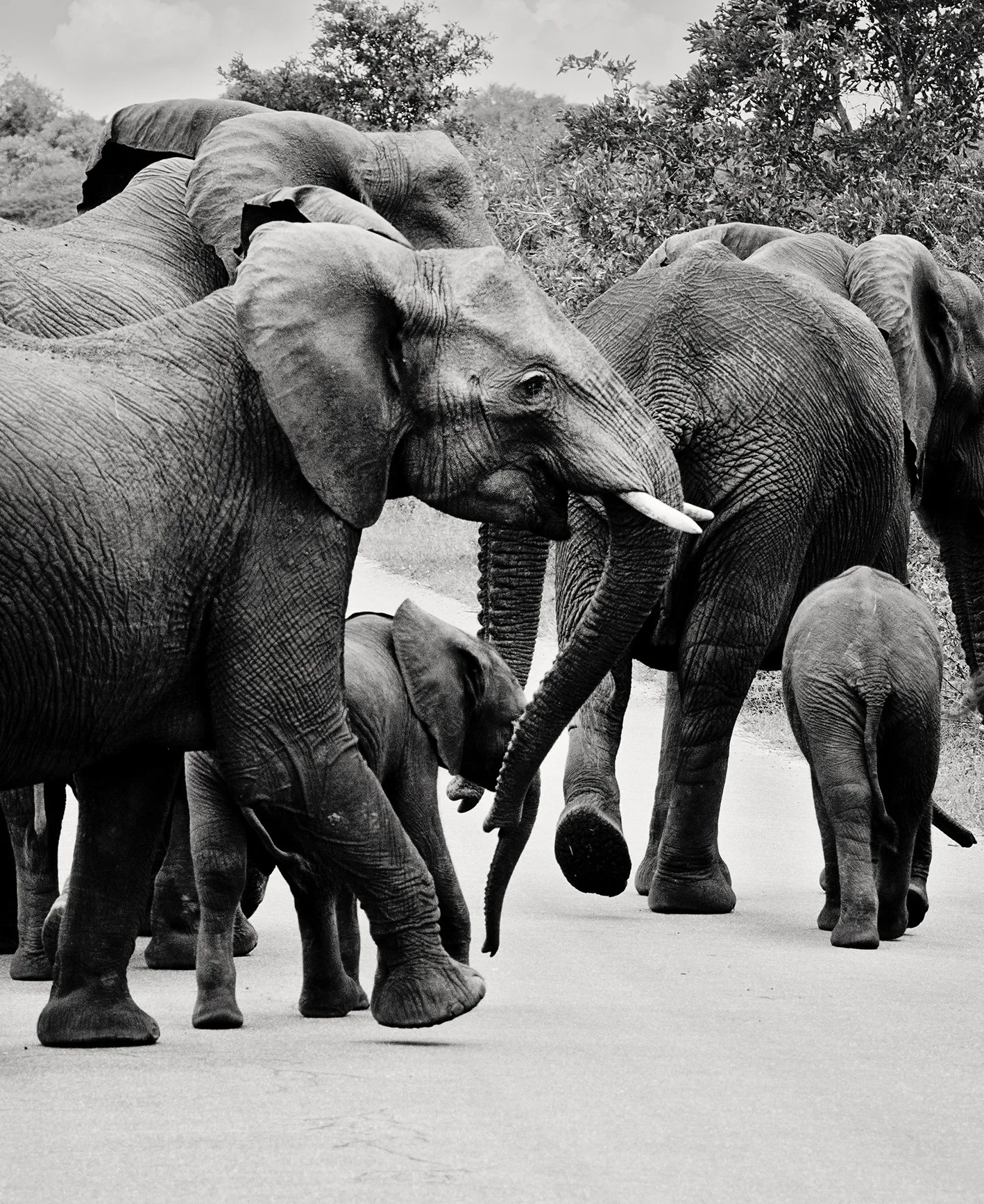 20231108_JENNBURNS_0174-1bw copy.jpg