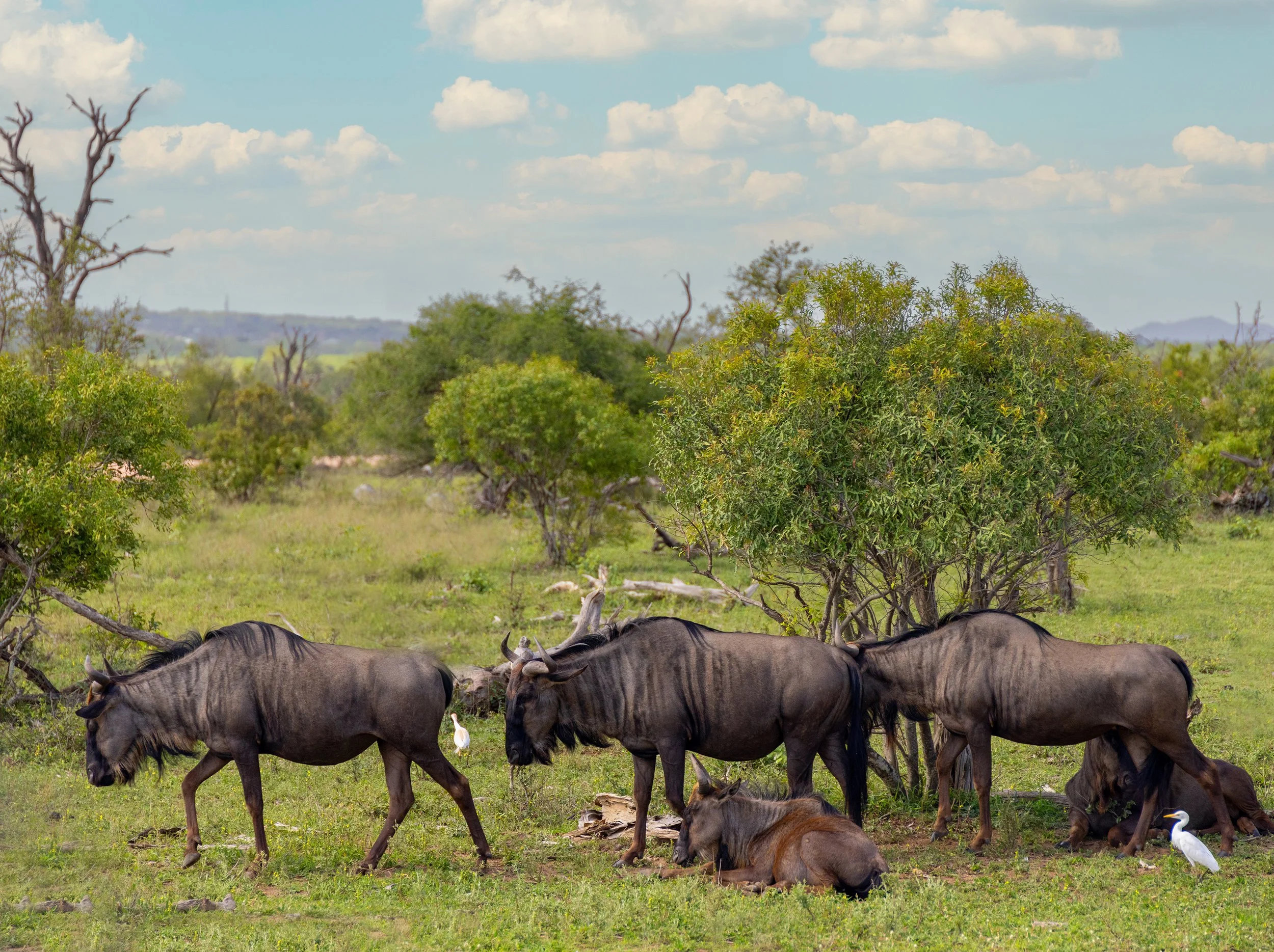 20231108_JENNBURNS_2391-1 copy.jpg