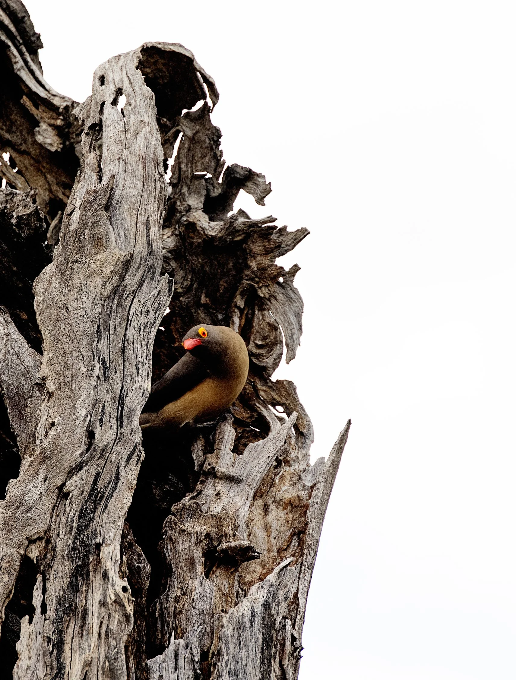 20231109_JENNBURNS_1207-1 copy.jpg