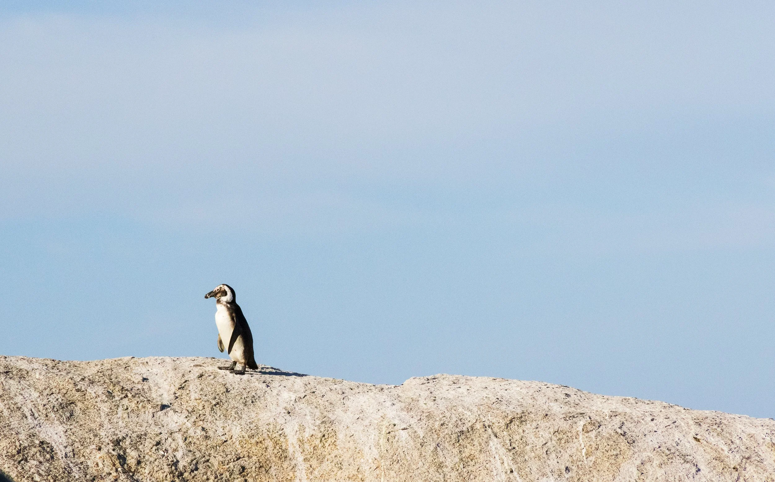 20231105_JENNBURNS_0980-1 copy.jpg