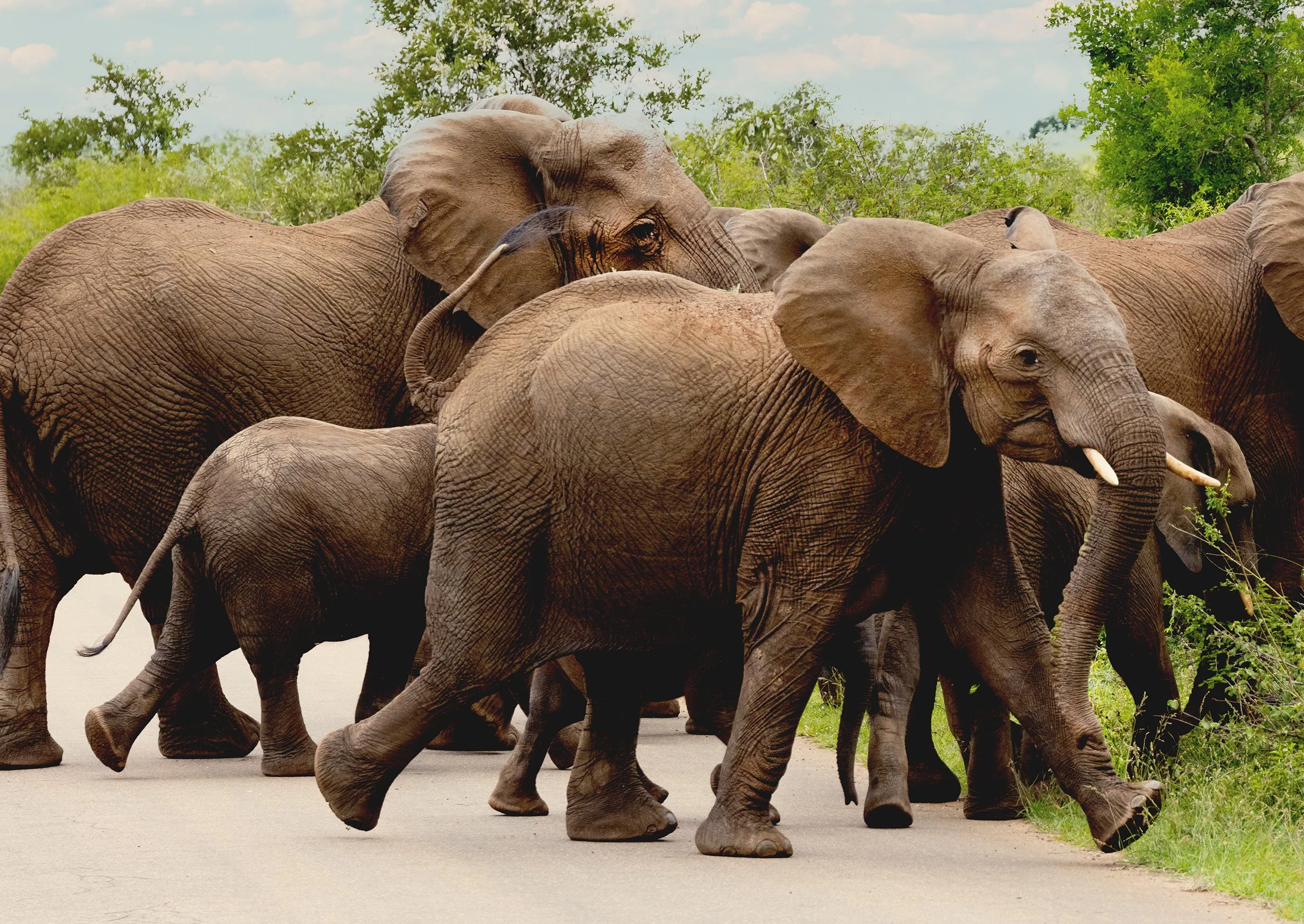 20231108_JENNBURNS_0175-1 copy.jpg