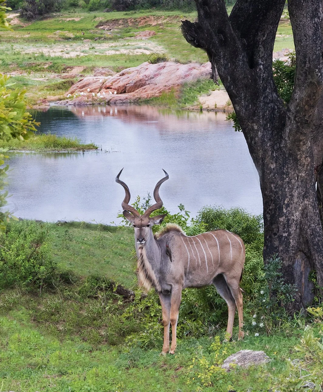 20231109_JENNBURNS_1265-1 copy.jpg