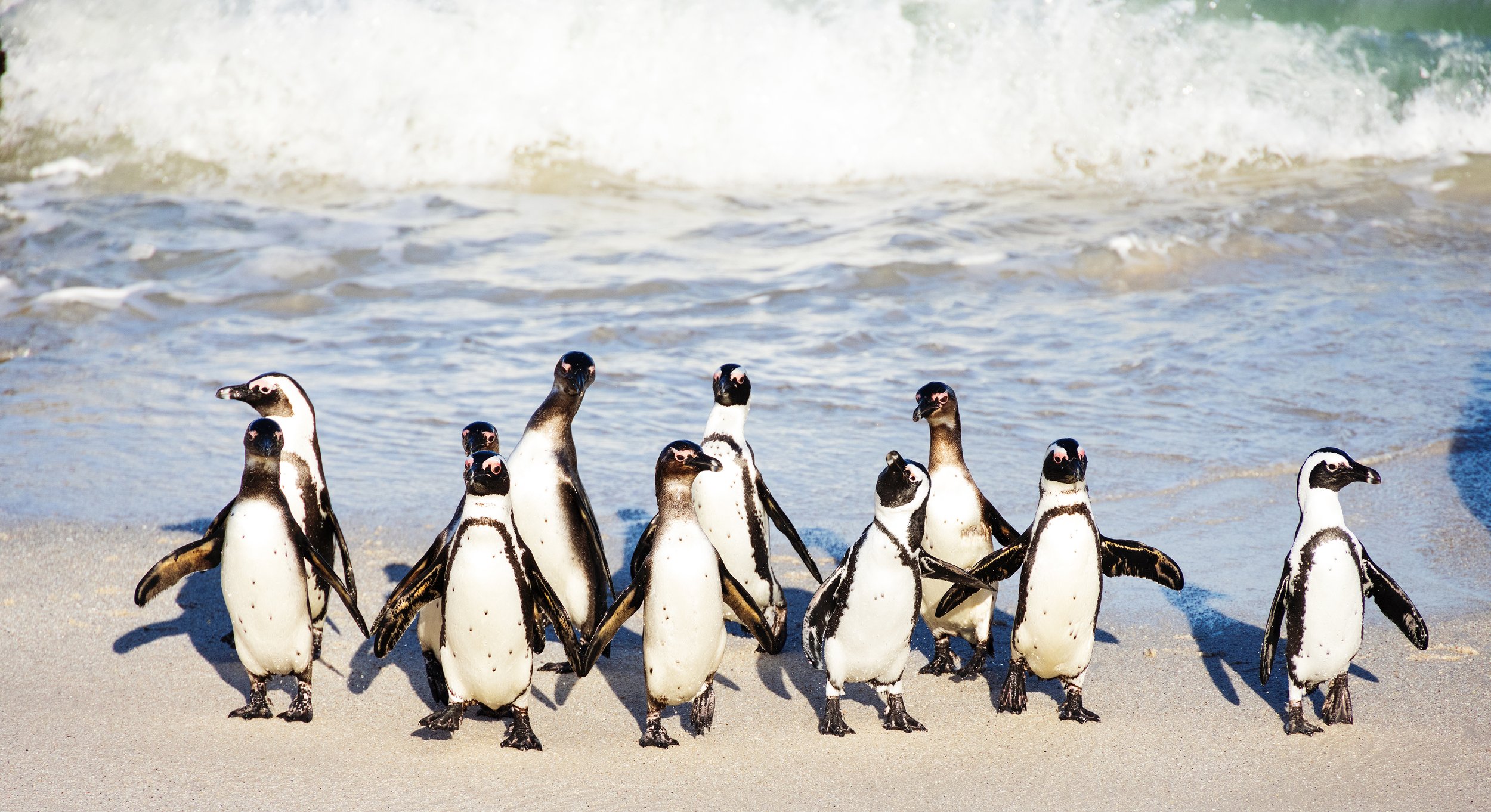 20231105_JENNBURNS_1018-1 copy.jpg