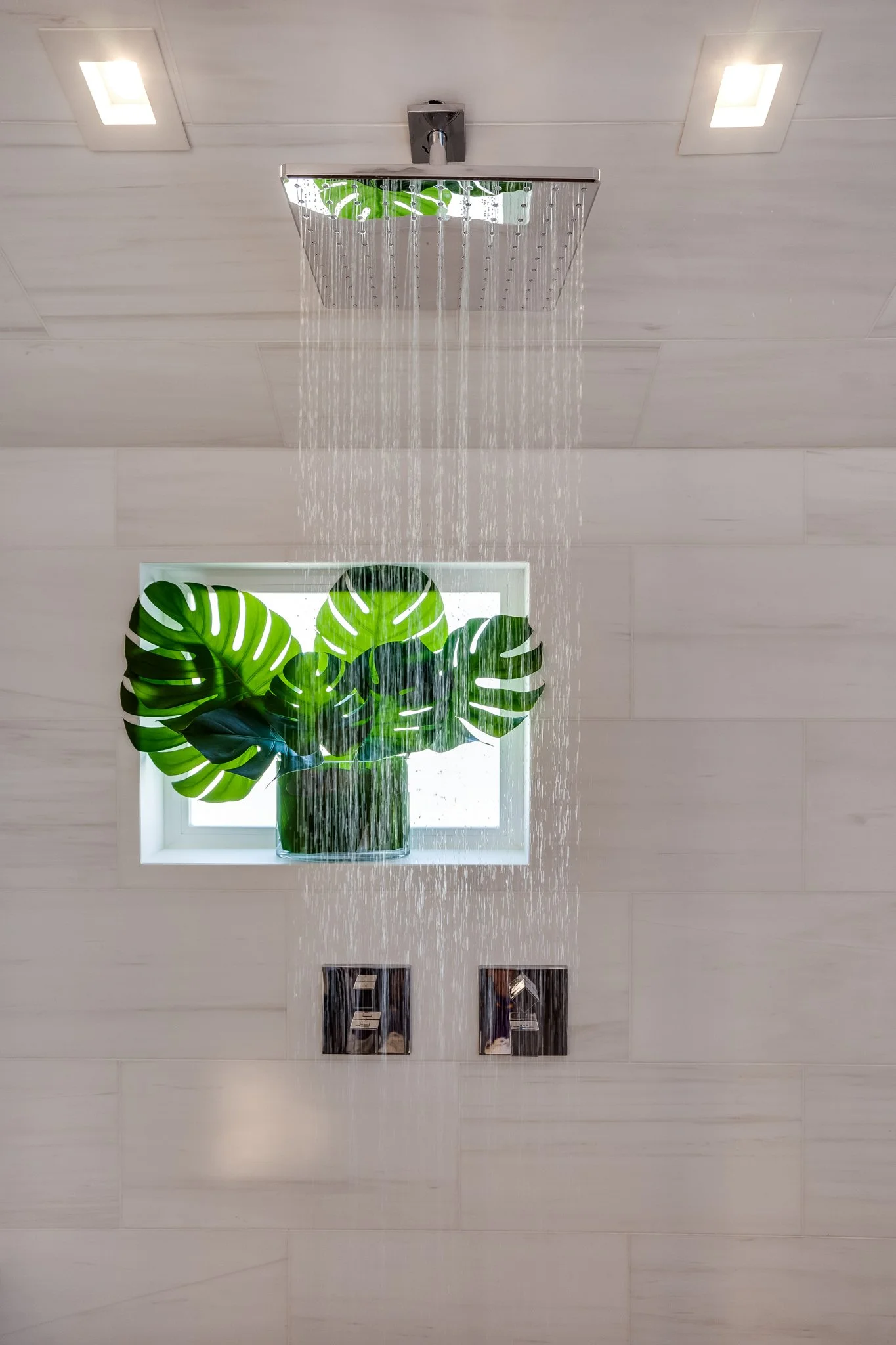 Shower with rainfall head in a bathroom, behind a window with green leafy plant.