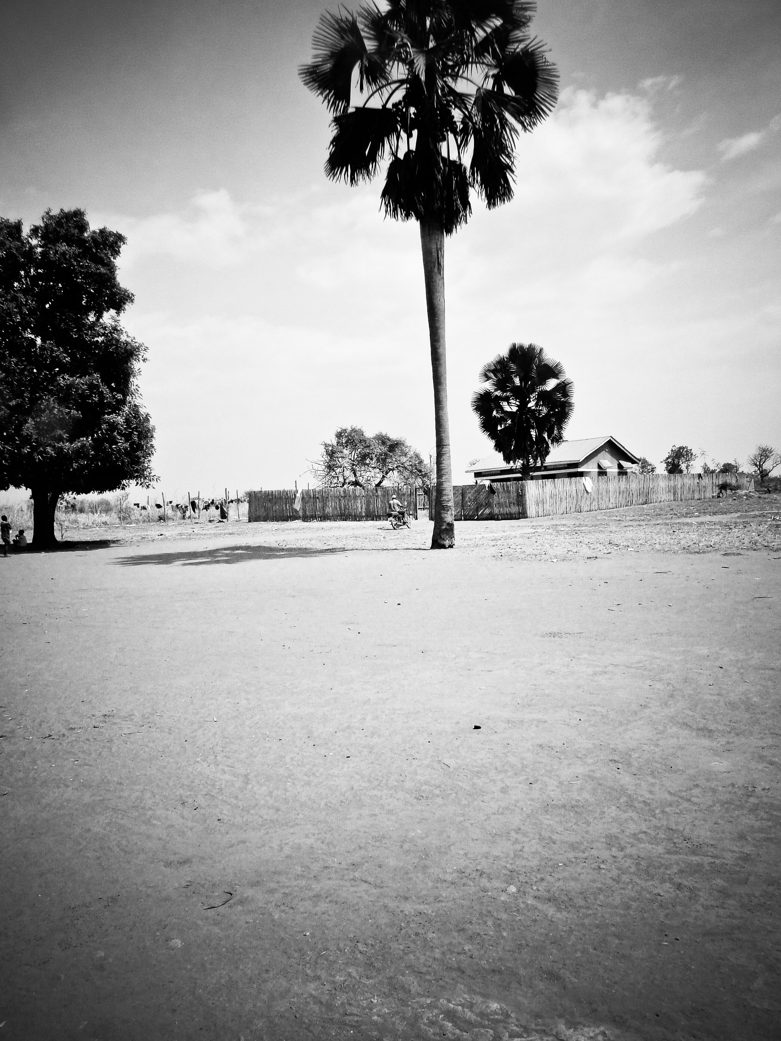 anjiyu-16.jpg