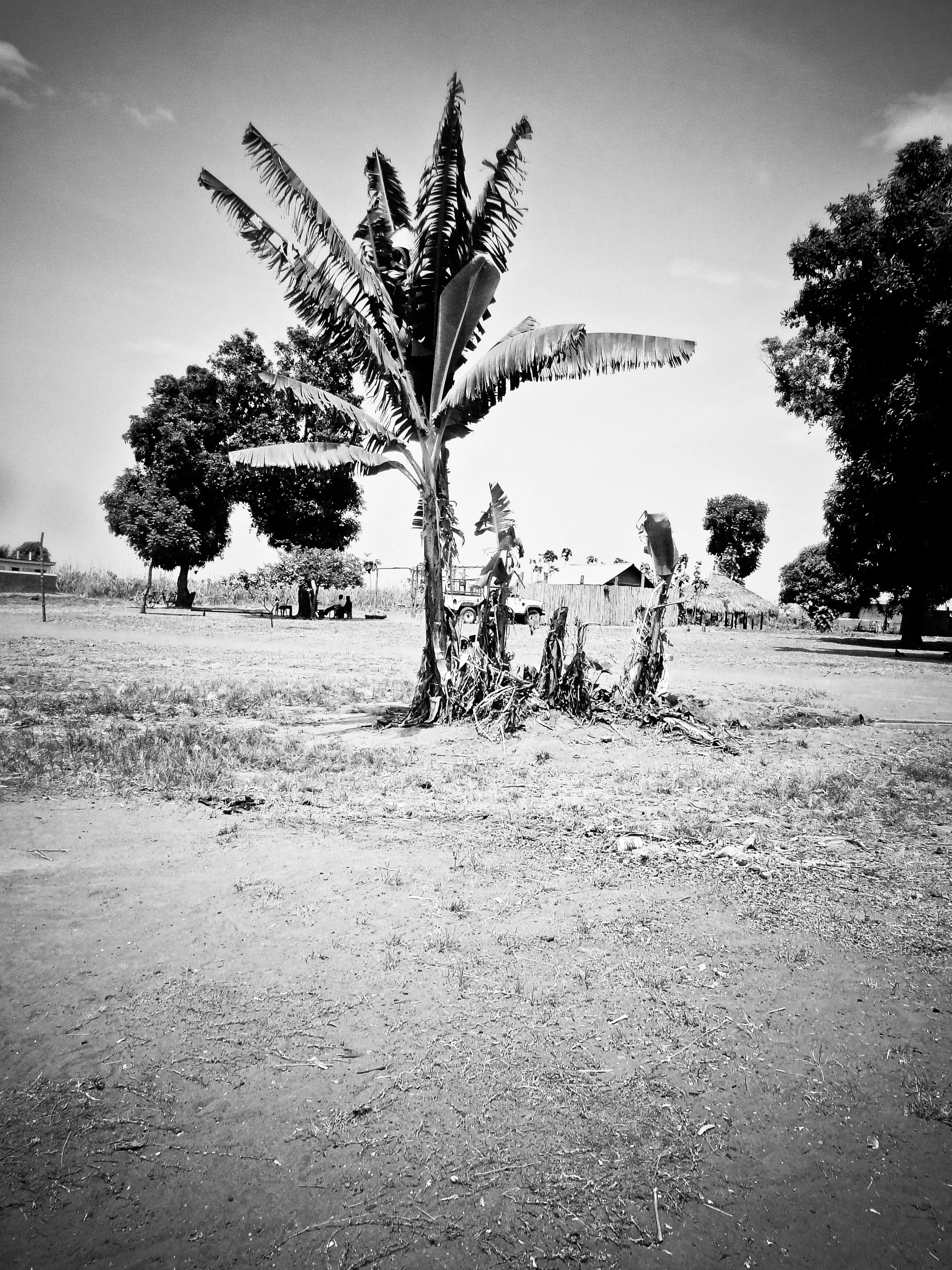 anjiyu-2.jpg