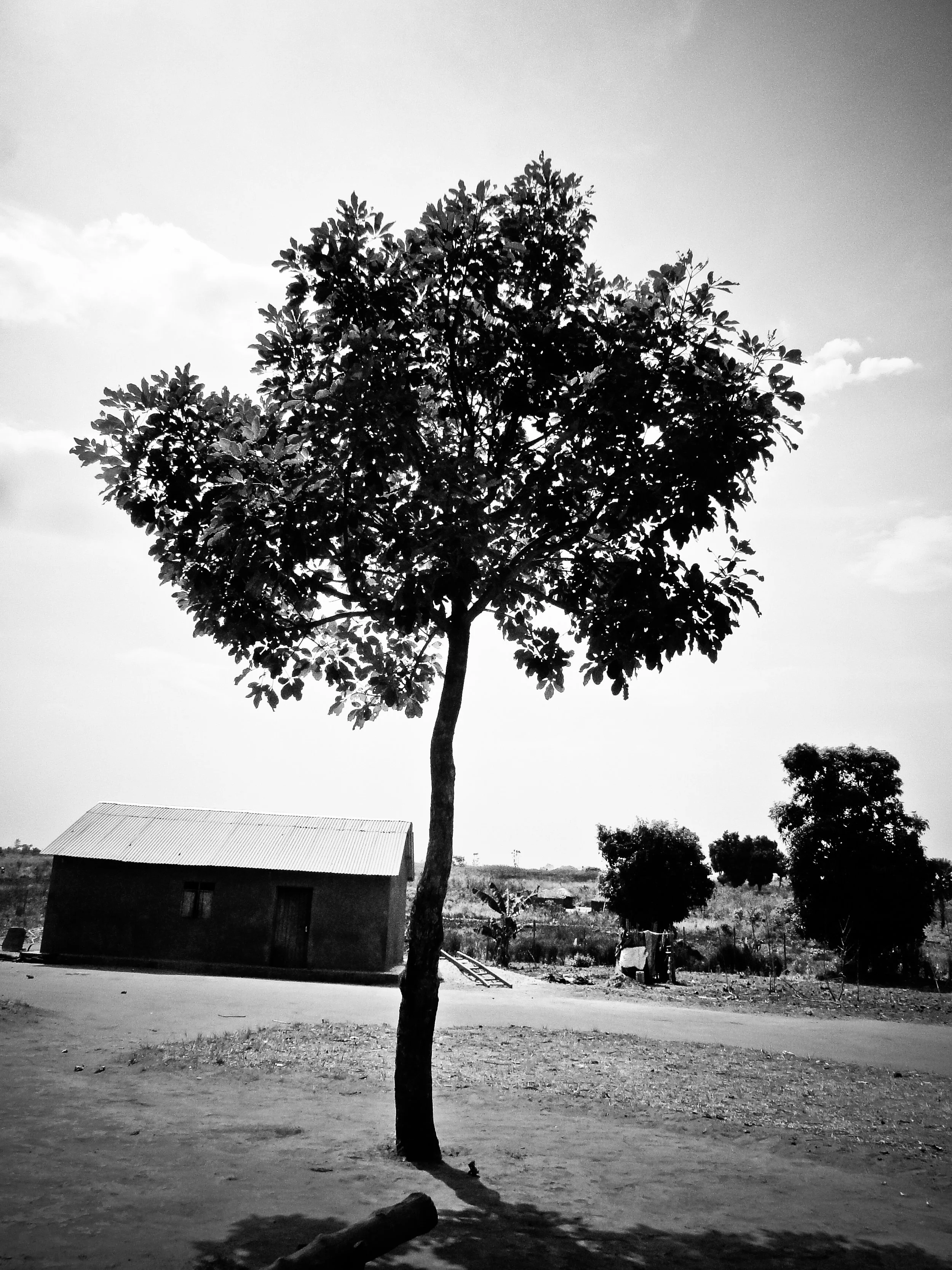 anjiyu-23.jpg
