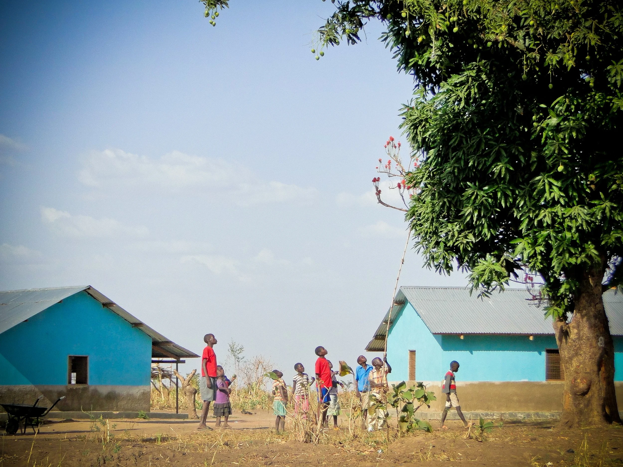 anjiyu-36.jpg
