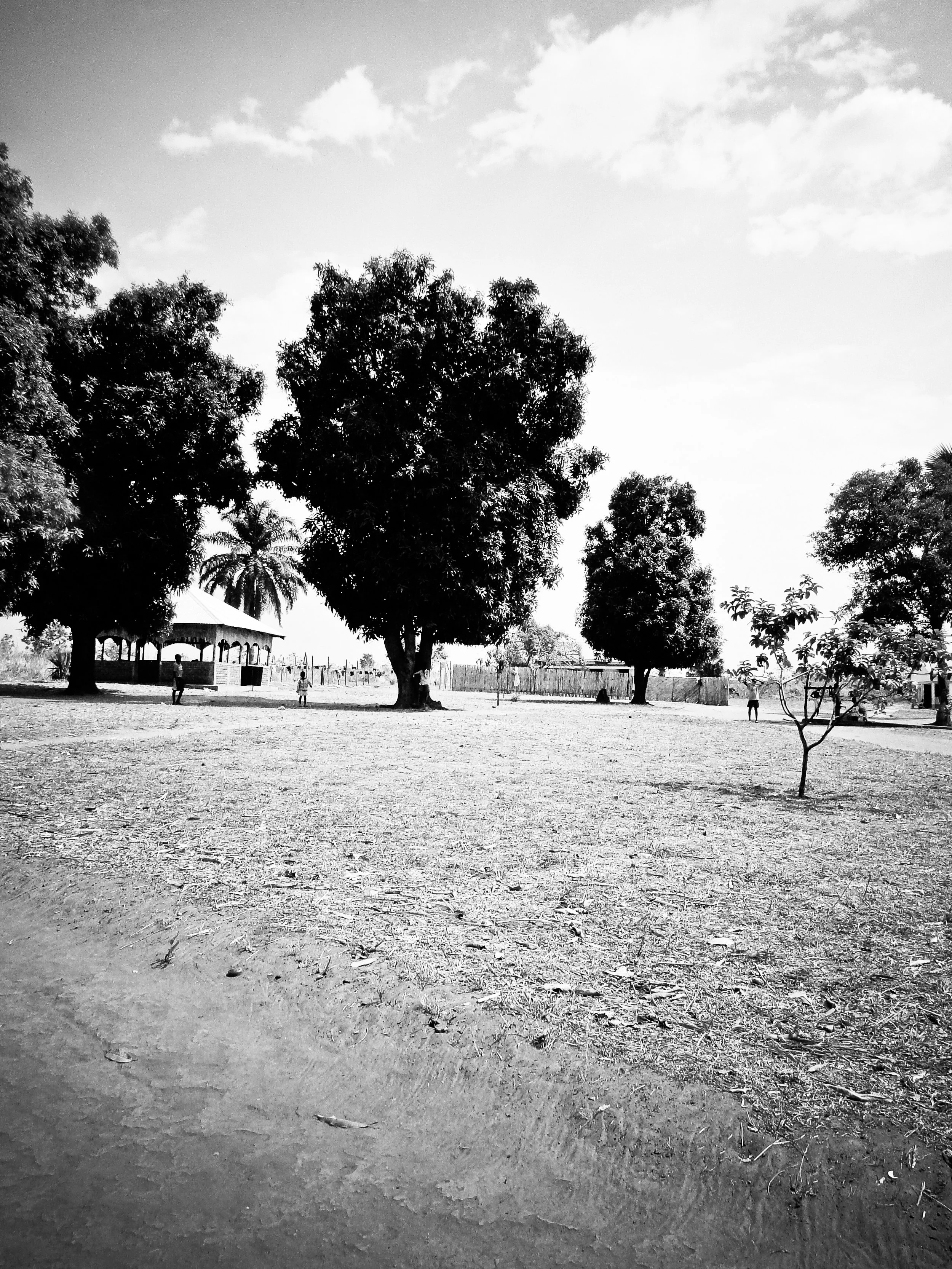 anjiyu-24.jpg