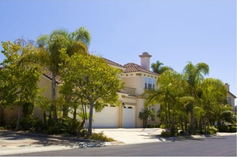A large, multi-story house surrounded by palm trees and greenery in a suburban neighborhood.