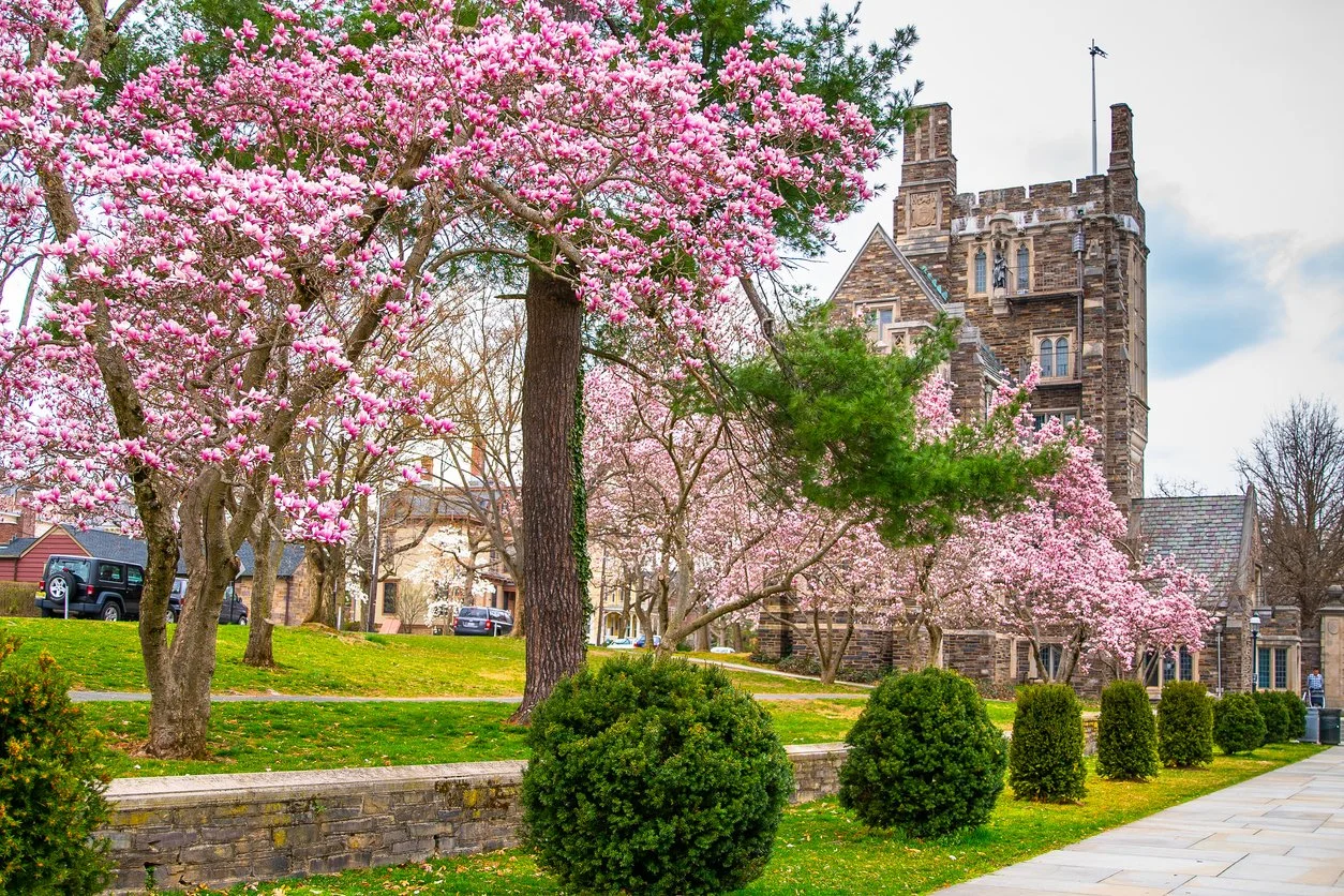 Why Spring is the Perfect Time to Get Moving Again, &amp; How to do it Safely
