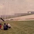 An activist planting trees on the Australian Parliament House lawn while being filmed by a TV news crew.