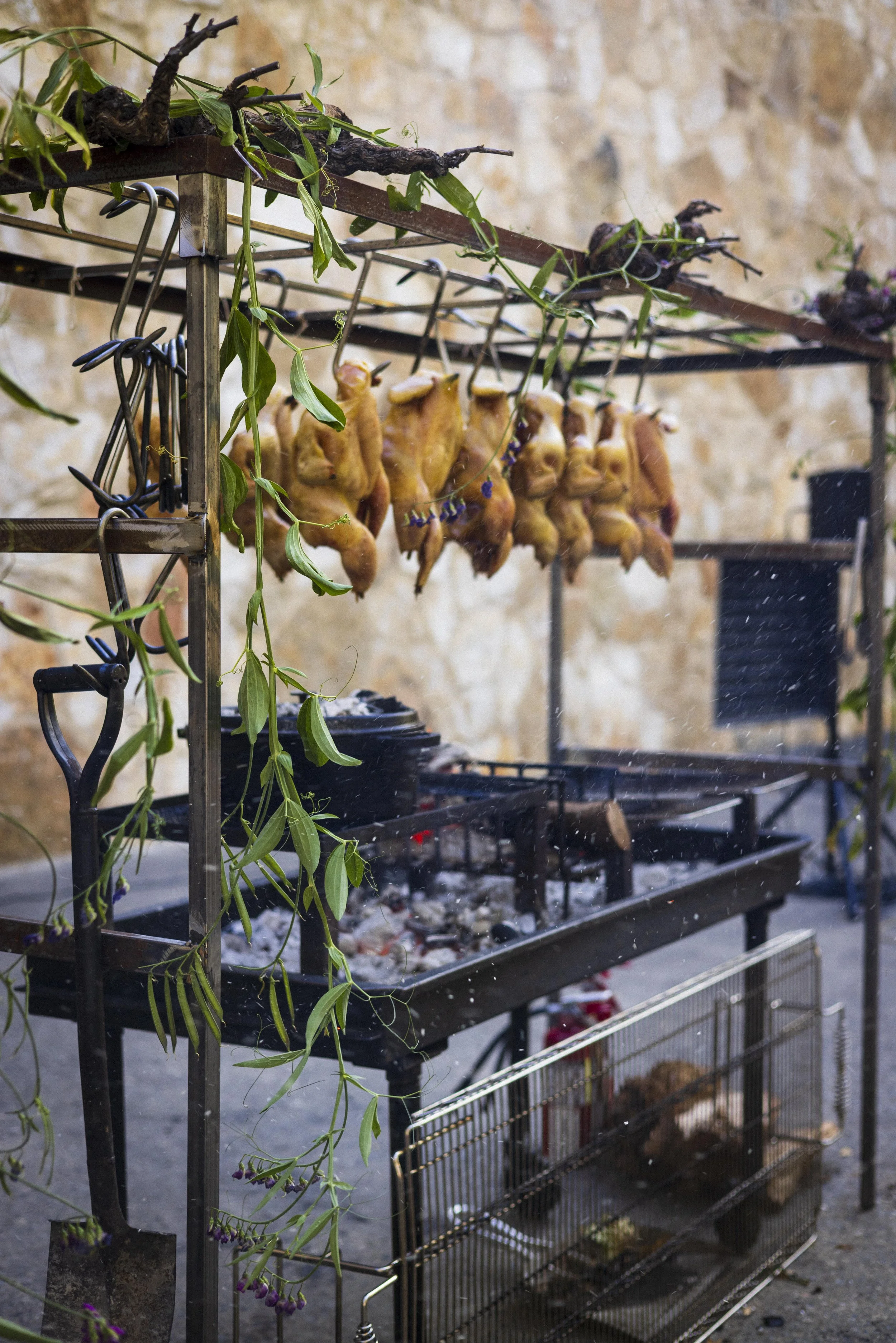 Roasted chickens hanging from a metal rack, with a grill stove below and a wire cage at the bottom, set against a stone wall.