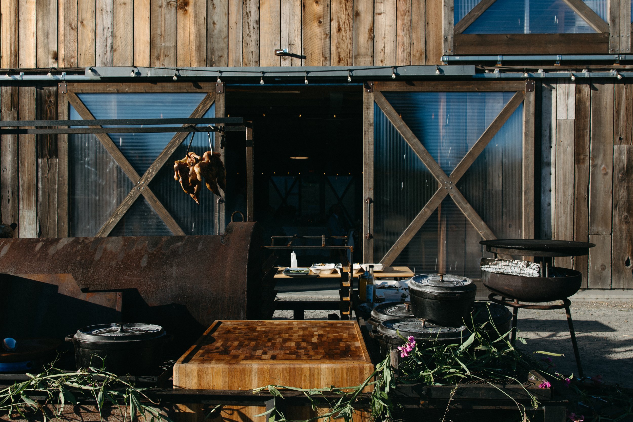 Hell_Chicken_blackmountain_ranch_june_2026_danipadgettphoto 238117.jpg