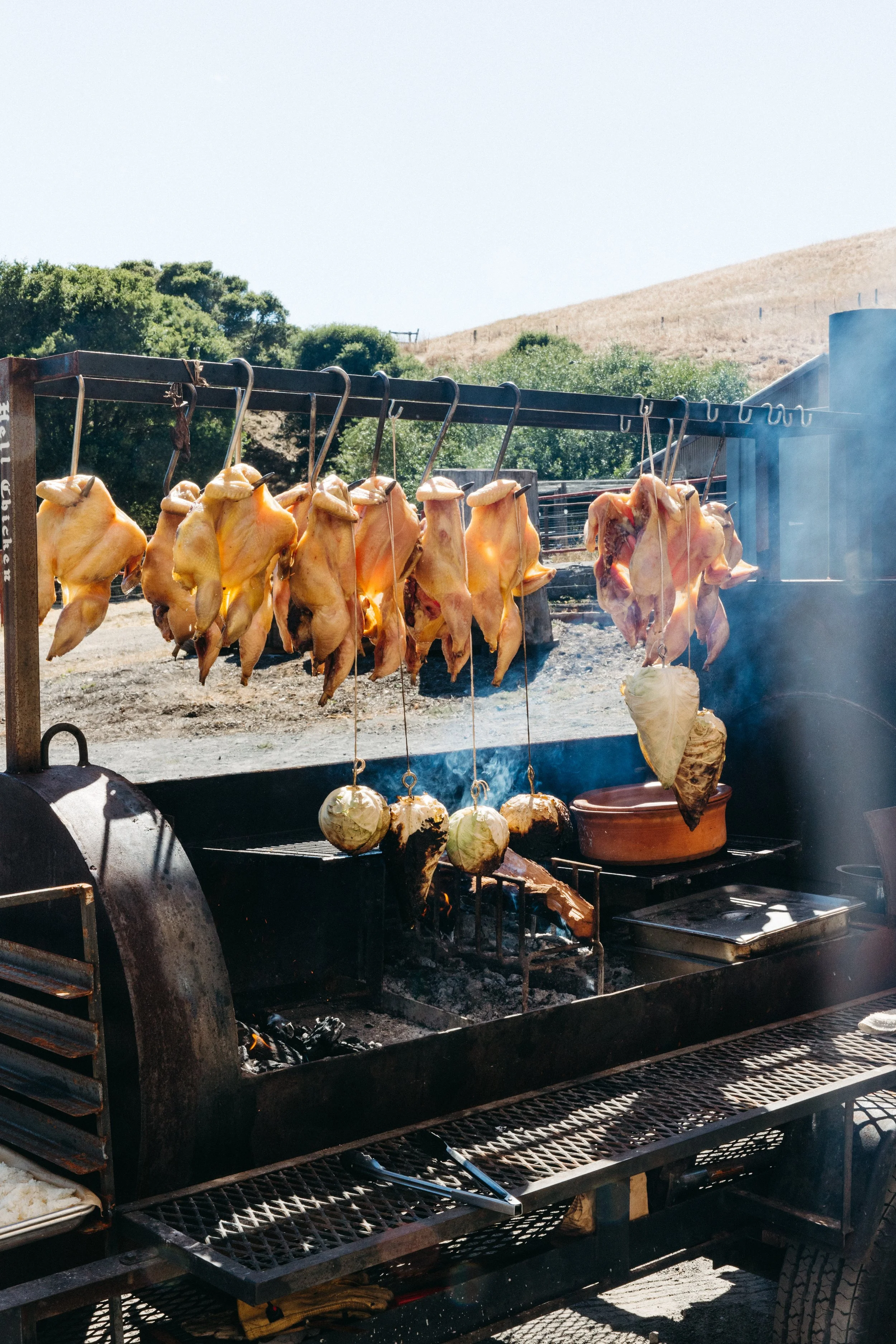 Hell_Chicken_blackmountain_ranch_june_2026_danipadgettphoto 237778.jpg