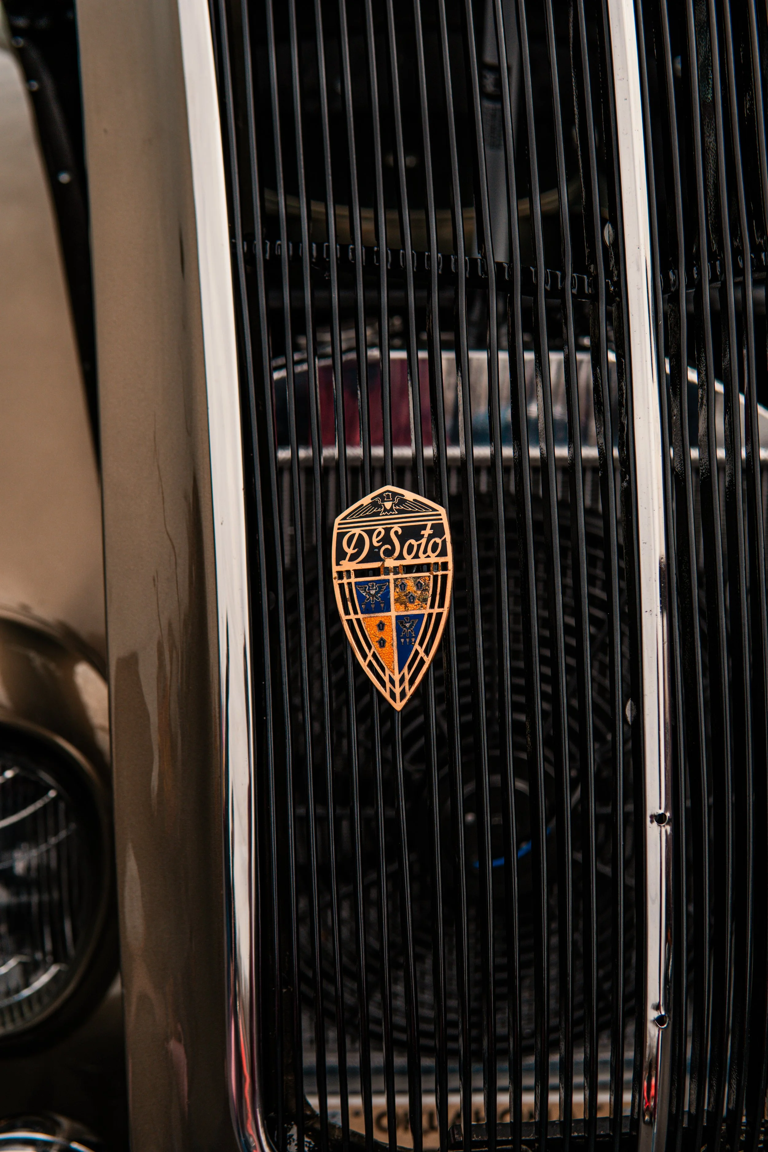 SNY00552.jpg