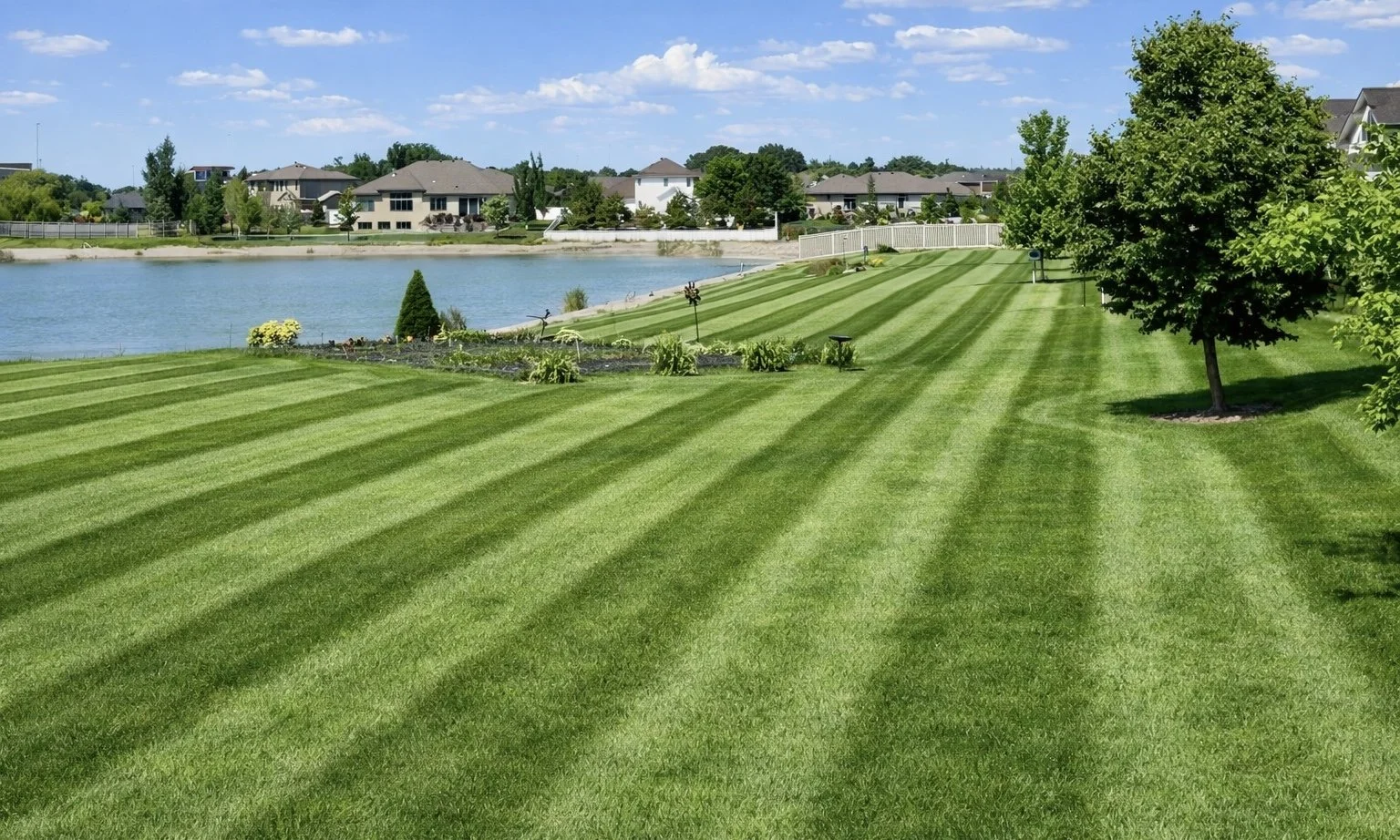 A neatly mowed green lawn with alternating light and dark stripes, near a pond with houses in the background, under a partly cloudy sky.