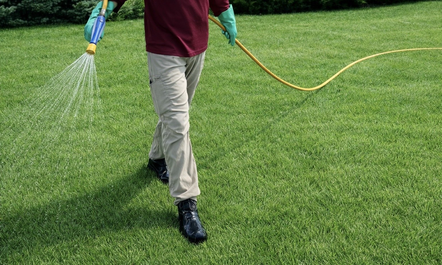 Weed control application with fertilizer. residential and commercial