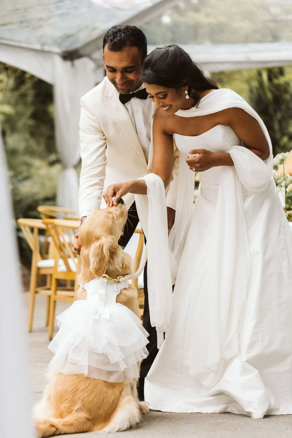 A bride and groom with a golden retriever dog at a wedding, with the dog dressed in a white tutu, inside a decorated outdoor venue.
Makeup Karla, Bridal Beauty Agency
Hair Lindsey Bridal Beauty Agency
Venue: JM Cellars
Planning & Design: Audrey Grace