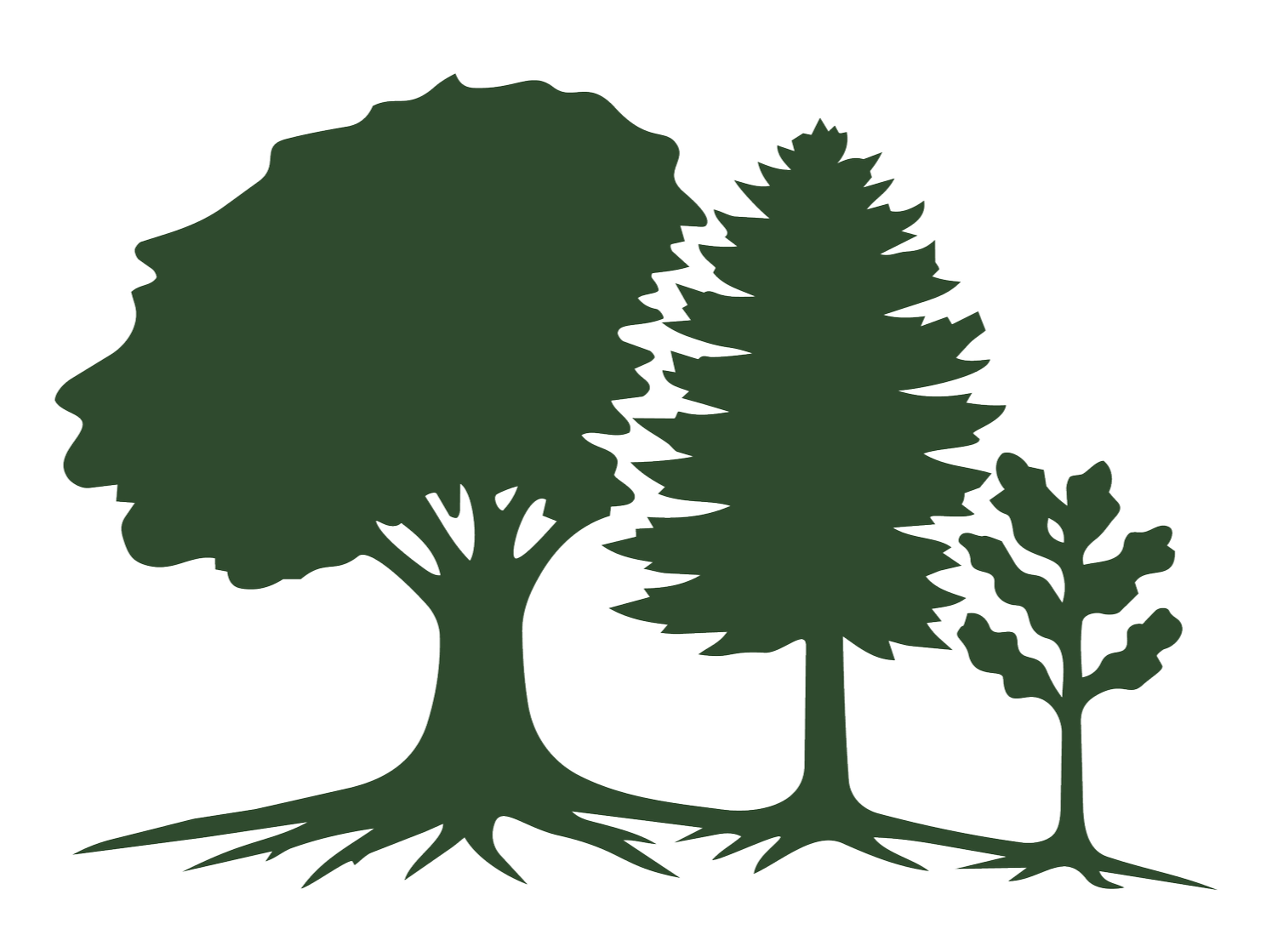 Silhouette of three trees of different sizes, representing variation in tree species or growth stages.