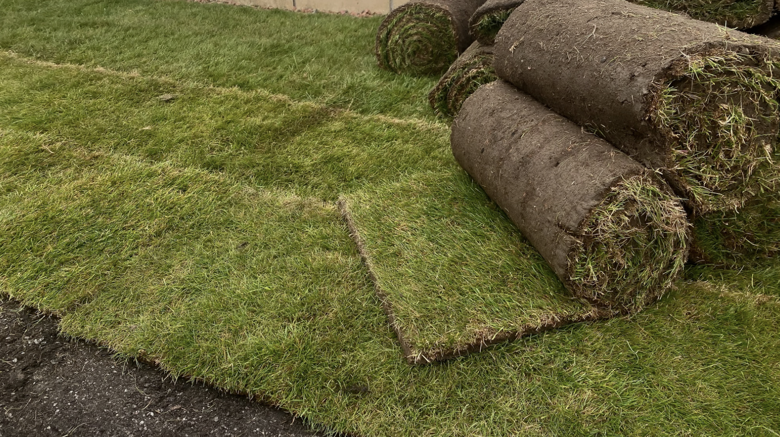 Rolled-up sod and cut grass on a lawn, with grass rolls stacked on the right side of the image.