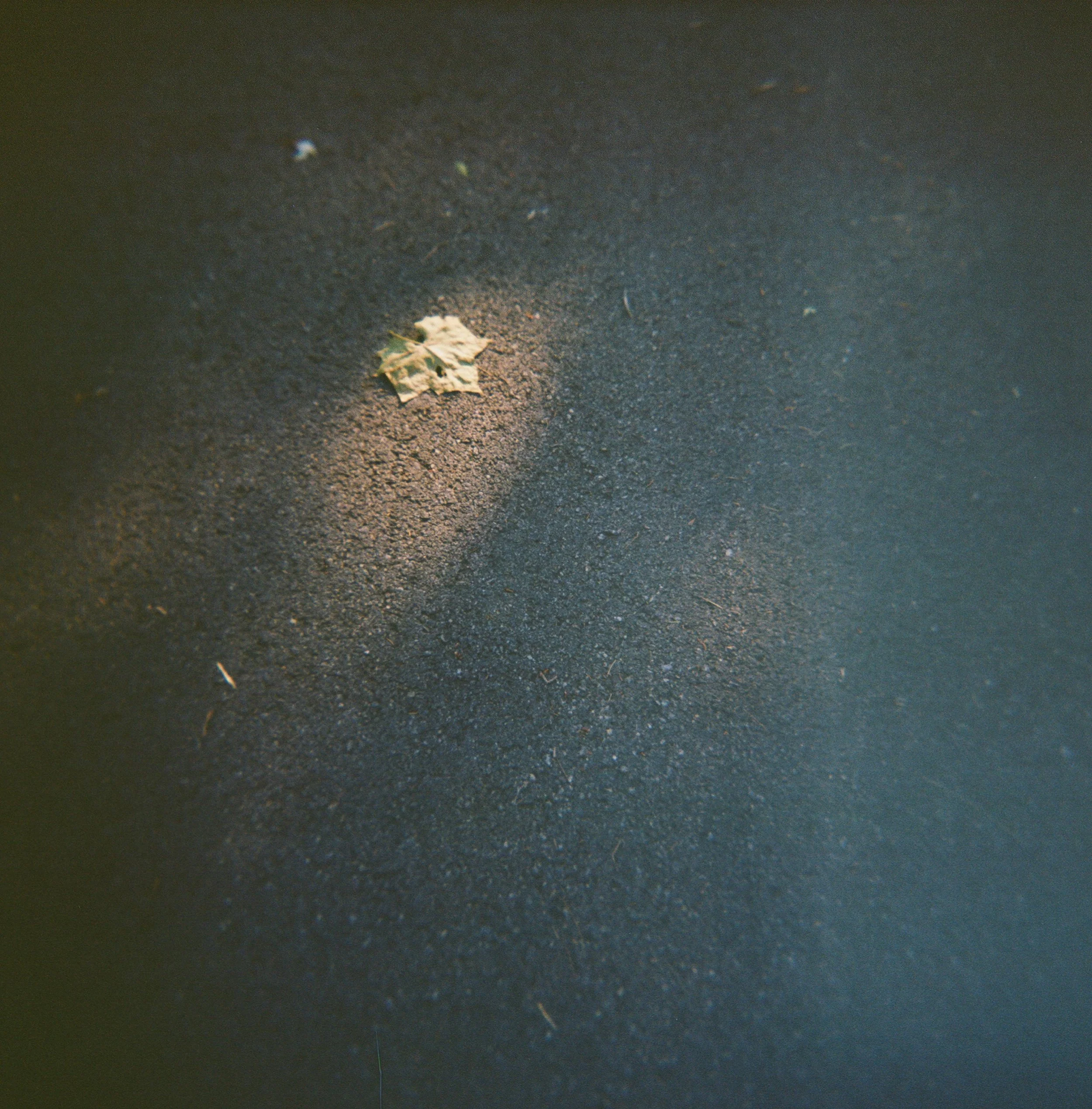 holga24-4.jpg