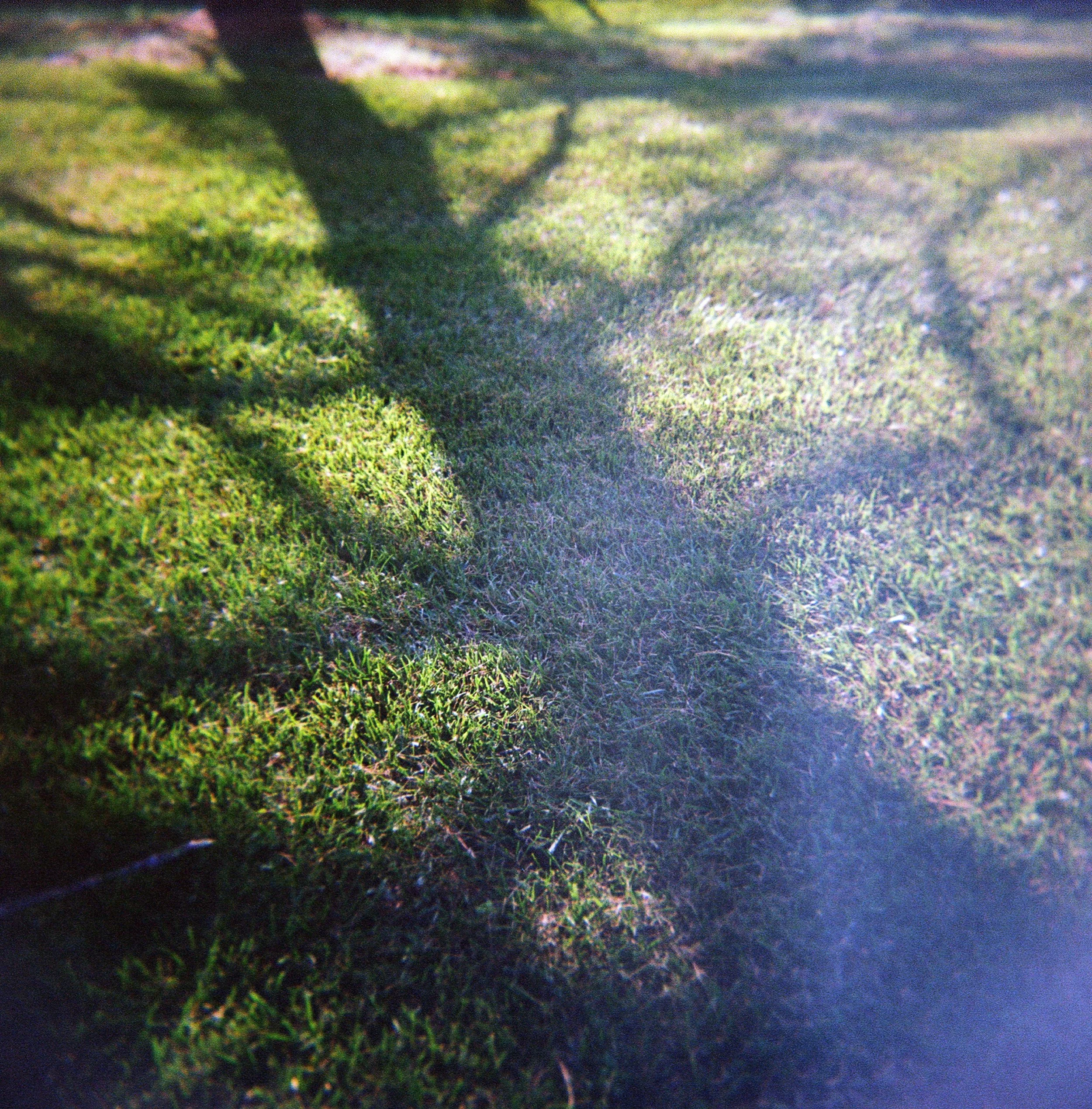 holga24-3.jpg