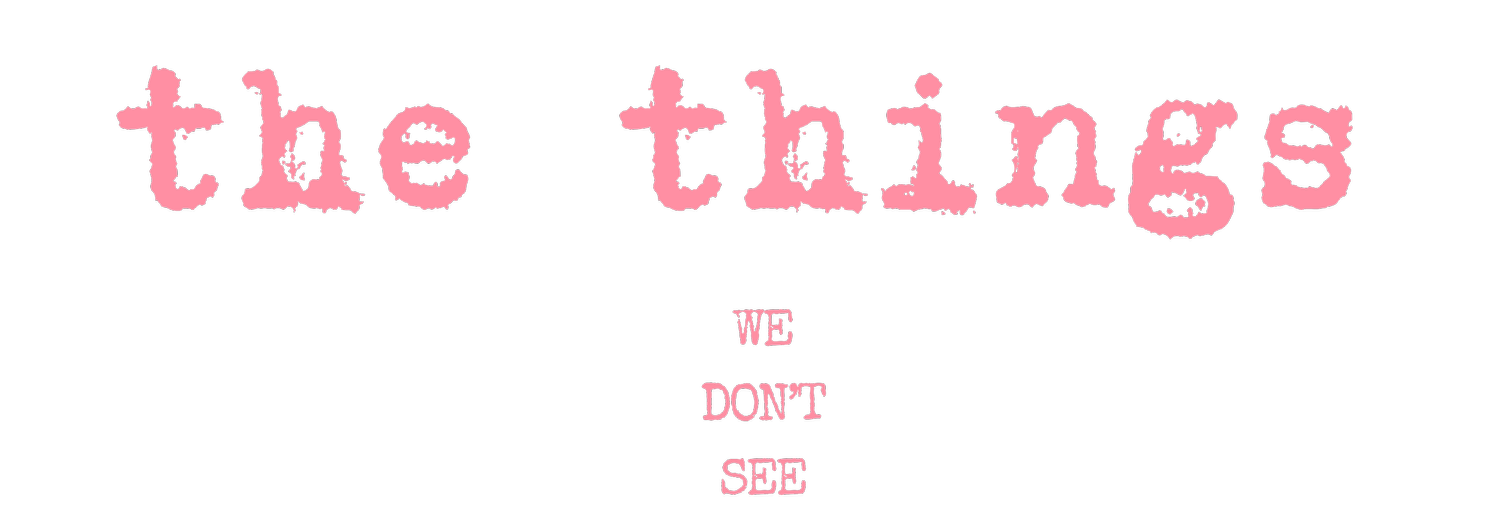 THE THINGS WE DON'T SEE