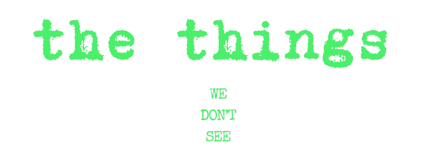 THE THINGS WE DON'T SEE