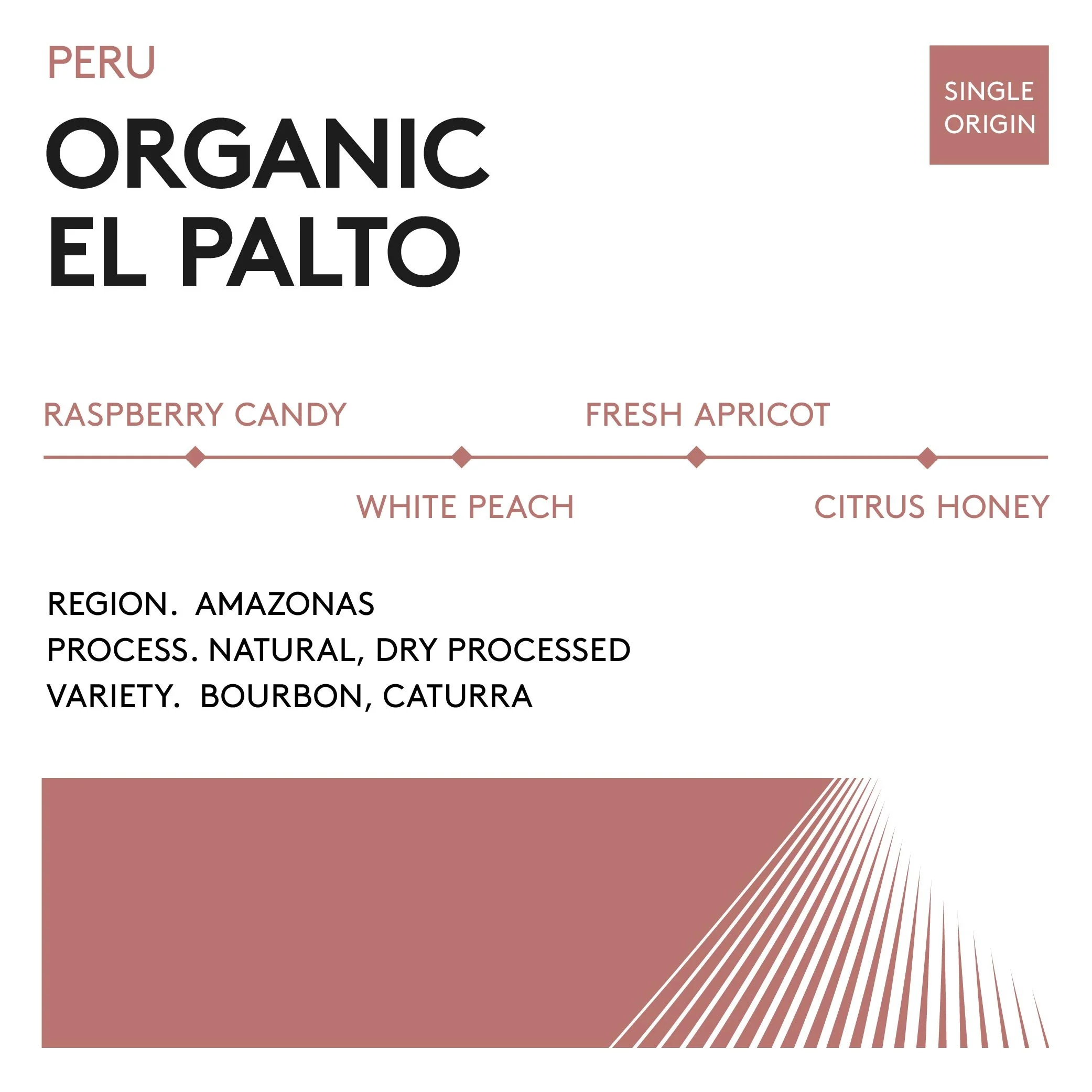 bean cards_square-el palto.jpg