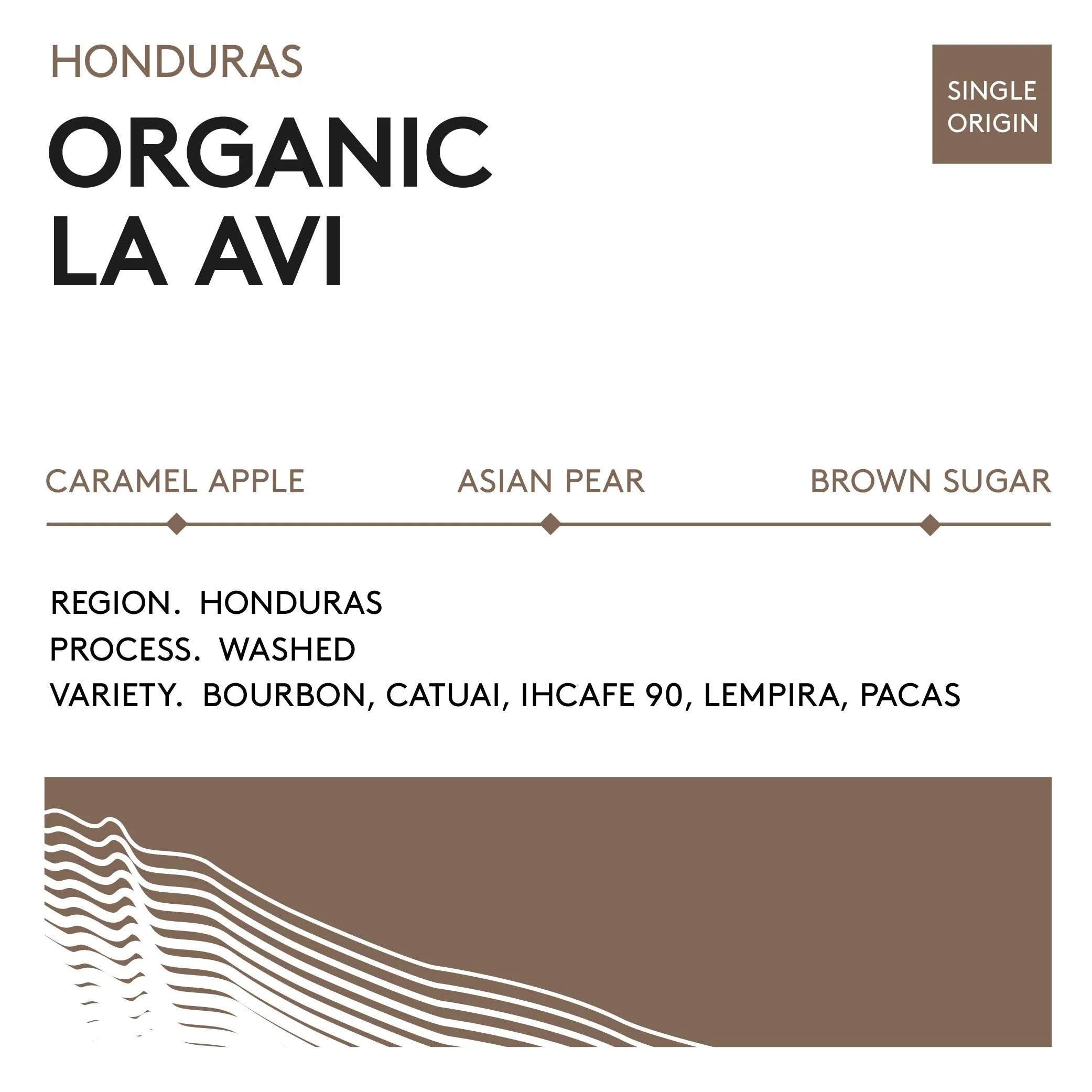 bean cards_square-la avi.jpg