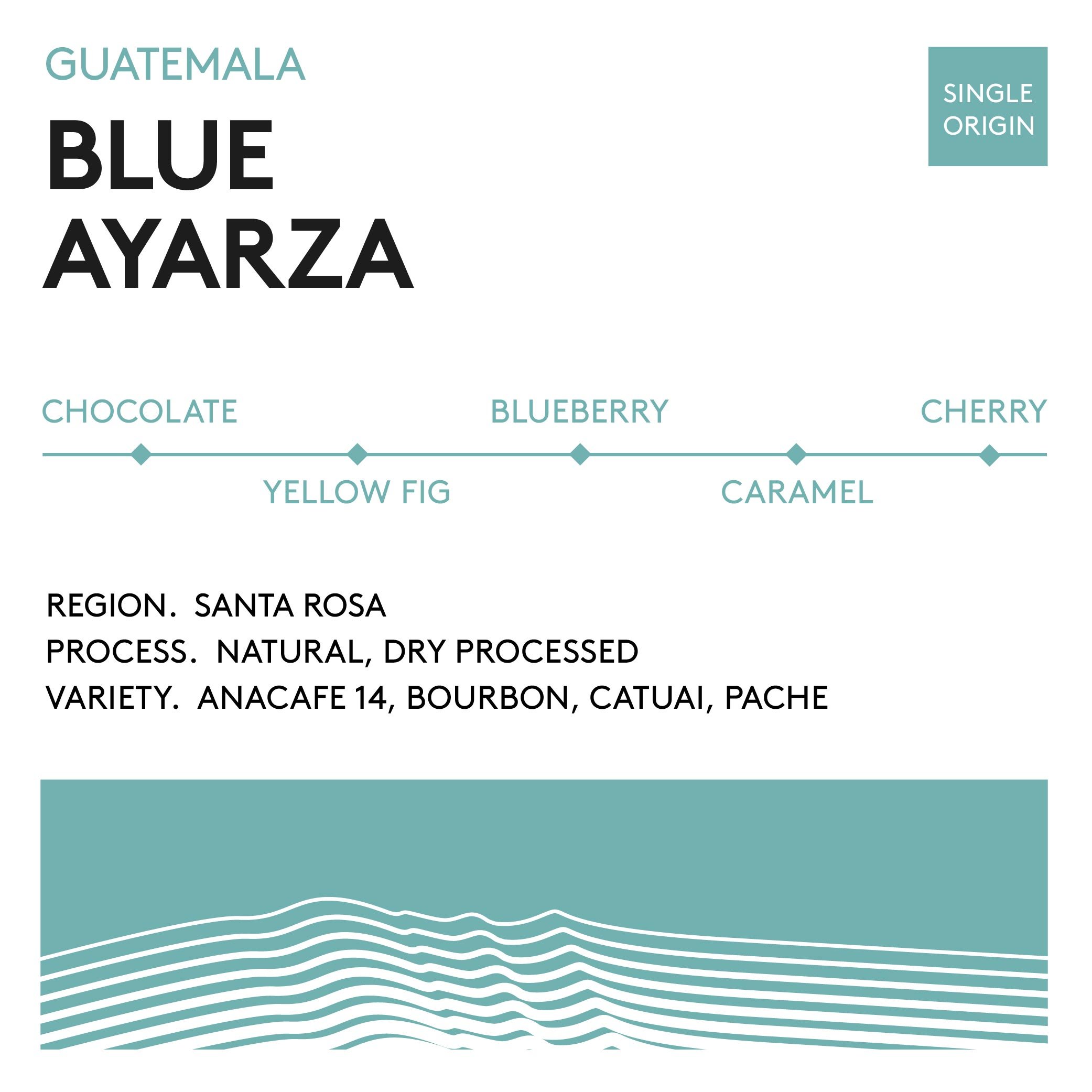 bean cards_square_blue ayarza-02.jpg