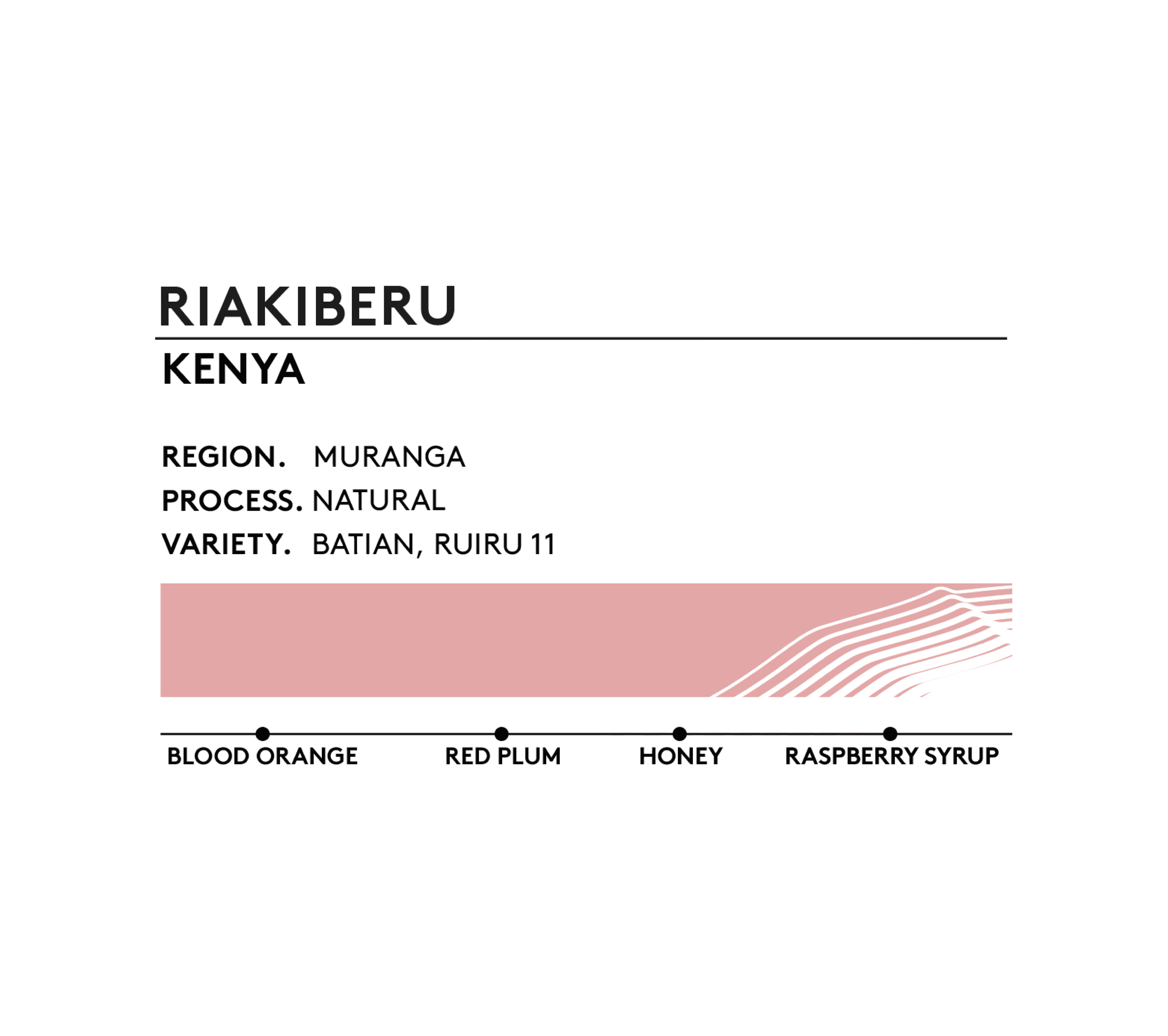 RIAKIBERU.png