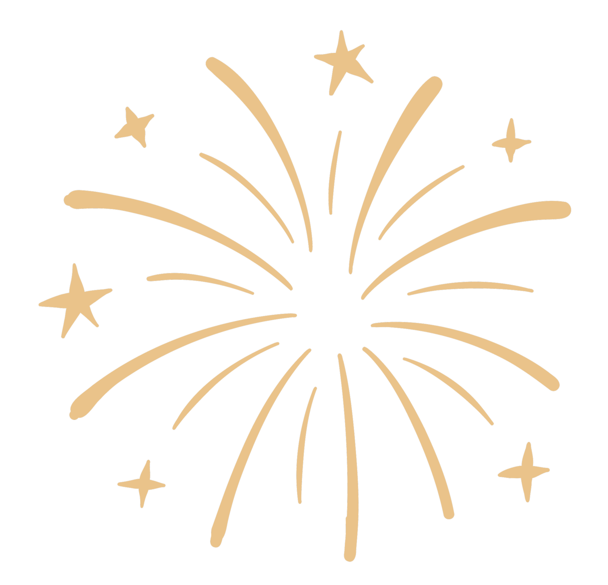 Logic Lion Critical Thinking Fireworks