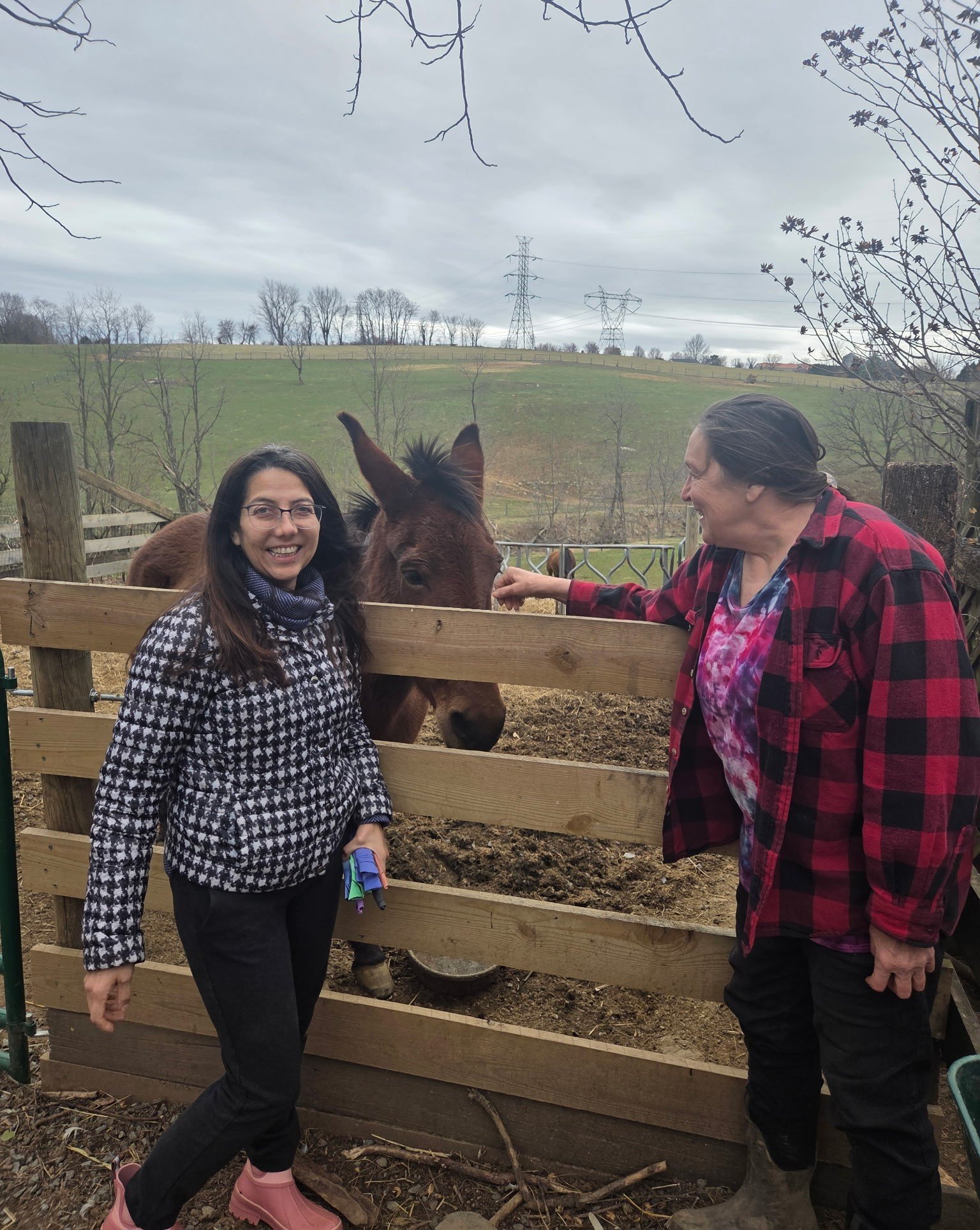 Two women smiling and interacting with a brown horse through a wooden fence in a rural outdoor setting, with green hills and power lines in the background.