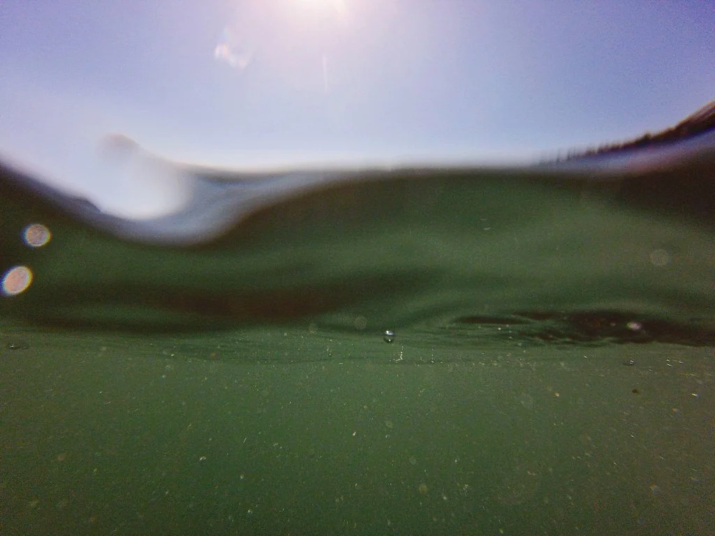 43058037354_f5e27c3294_b.jpg