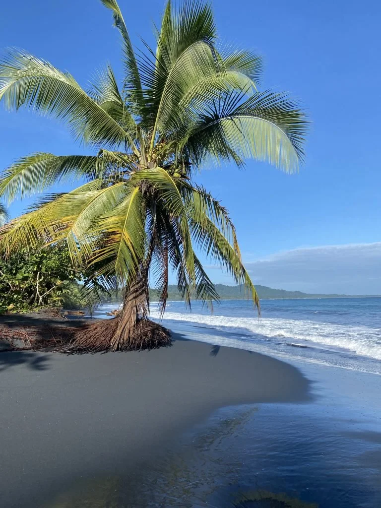 Puerto Viejo de Talamanca Playa negra.jpg