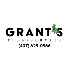 images (2).png