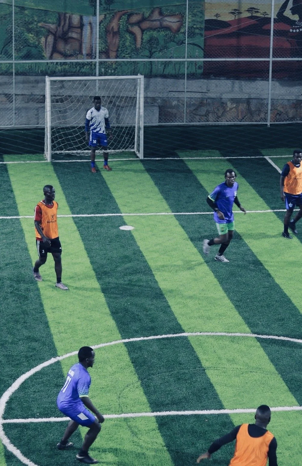 Soccer Turf
