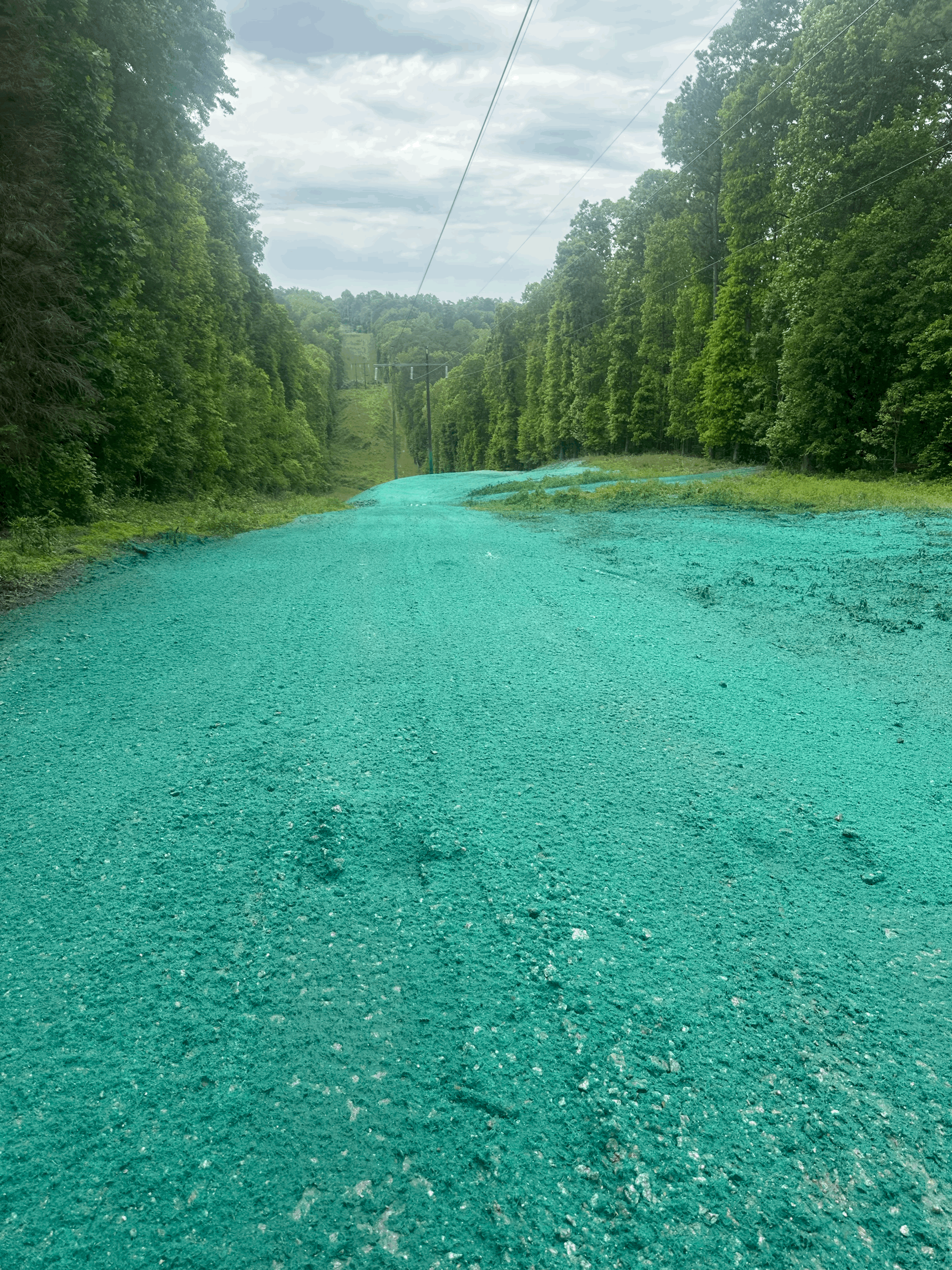 Hydroseeding