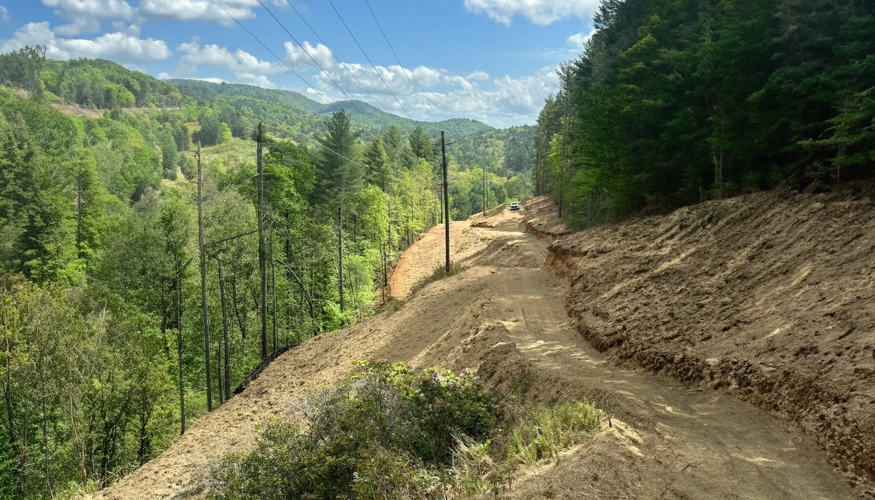 Straw & Grass Matting / Slope Stabilization