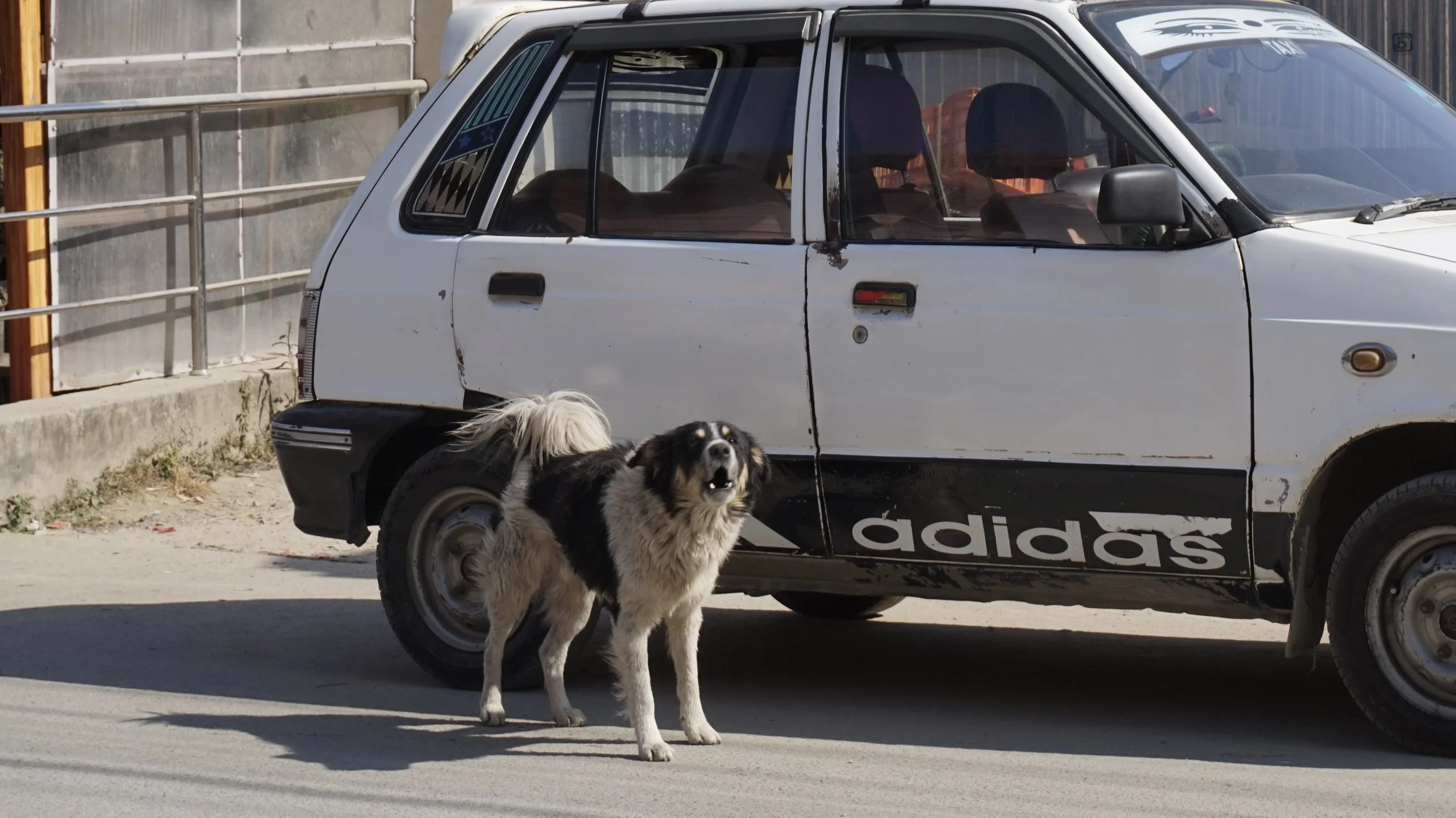 DSC09343.jpeg