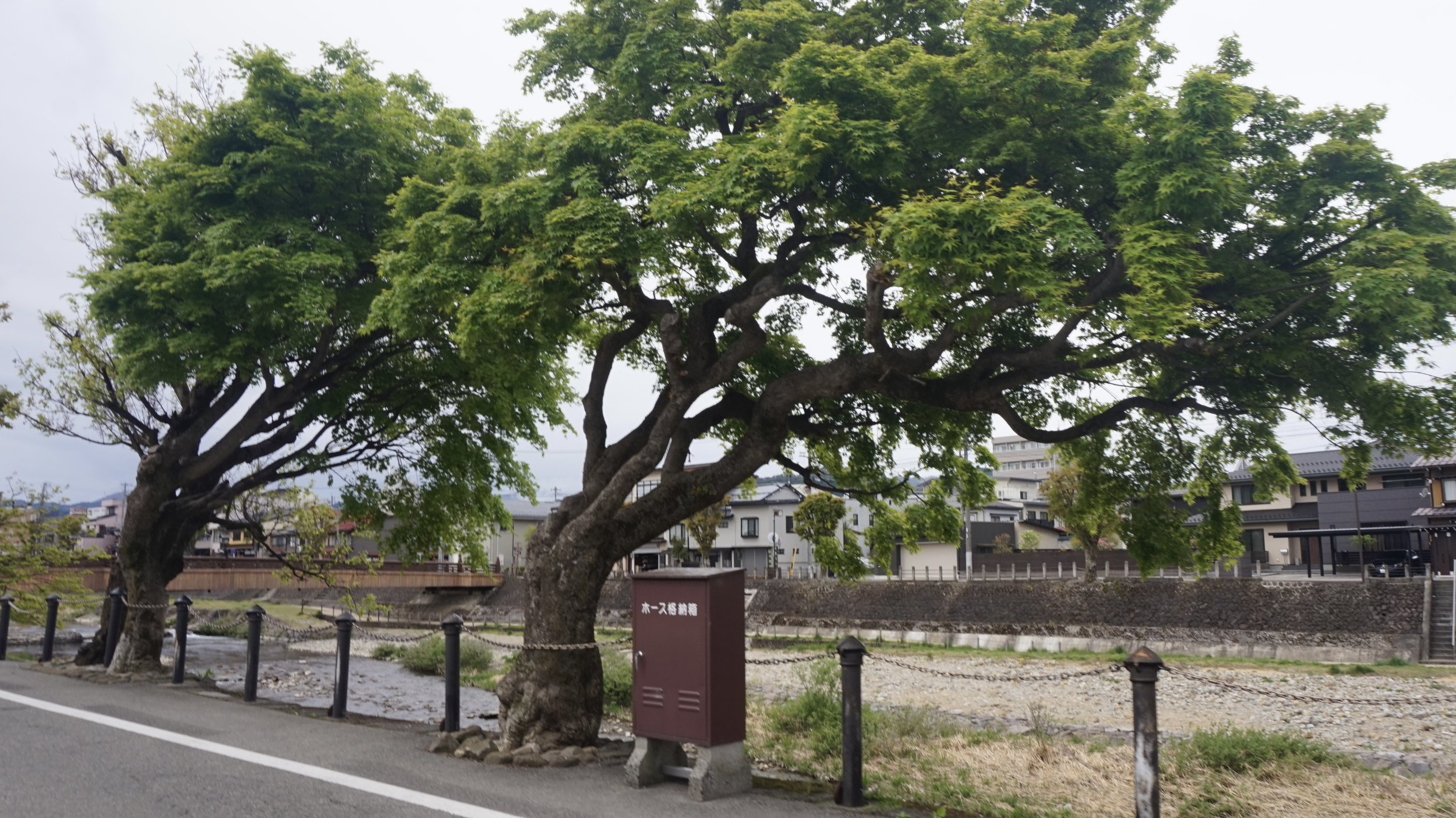 DSC07074.jpeg