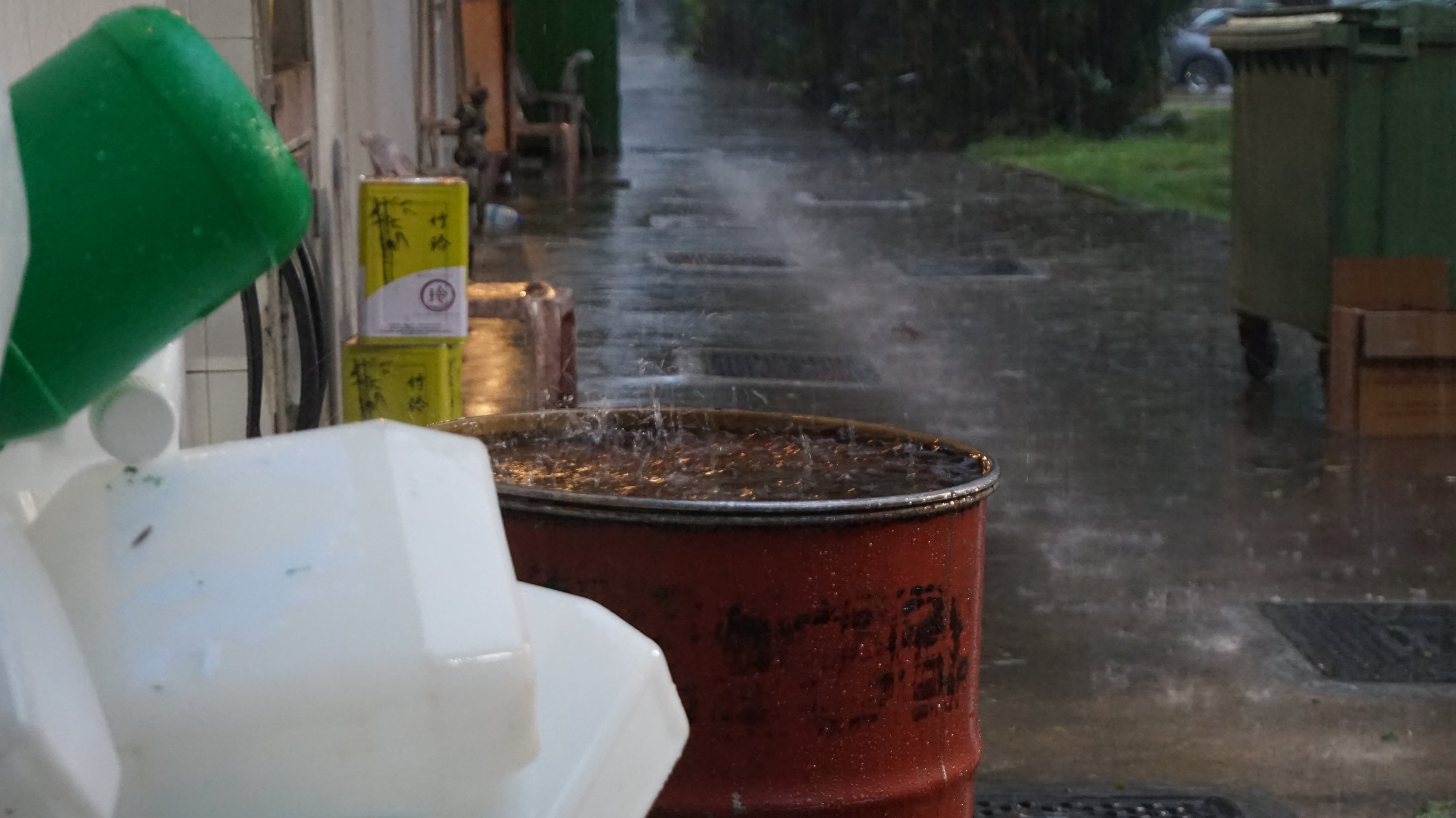 DSC08821.jpeg