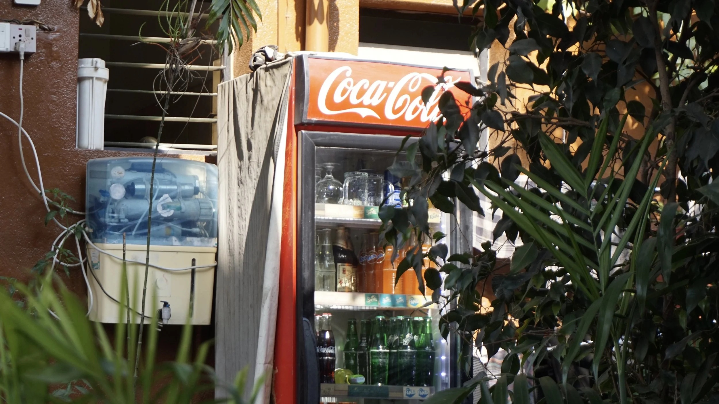 DSC09078.jpeg
